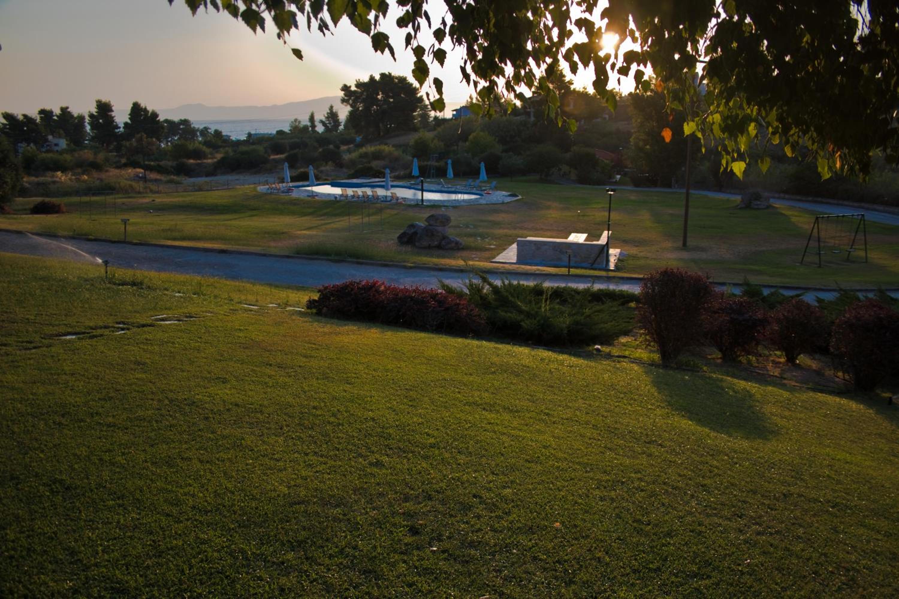 Photo 8
