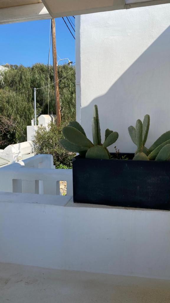 Sandy's House-Mykonos Town by Dival Properties