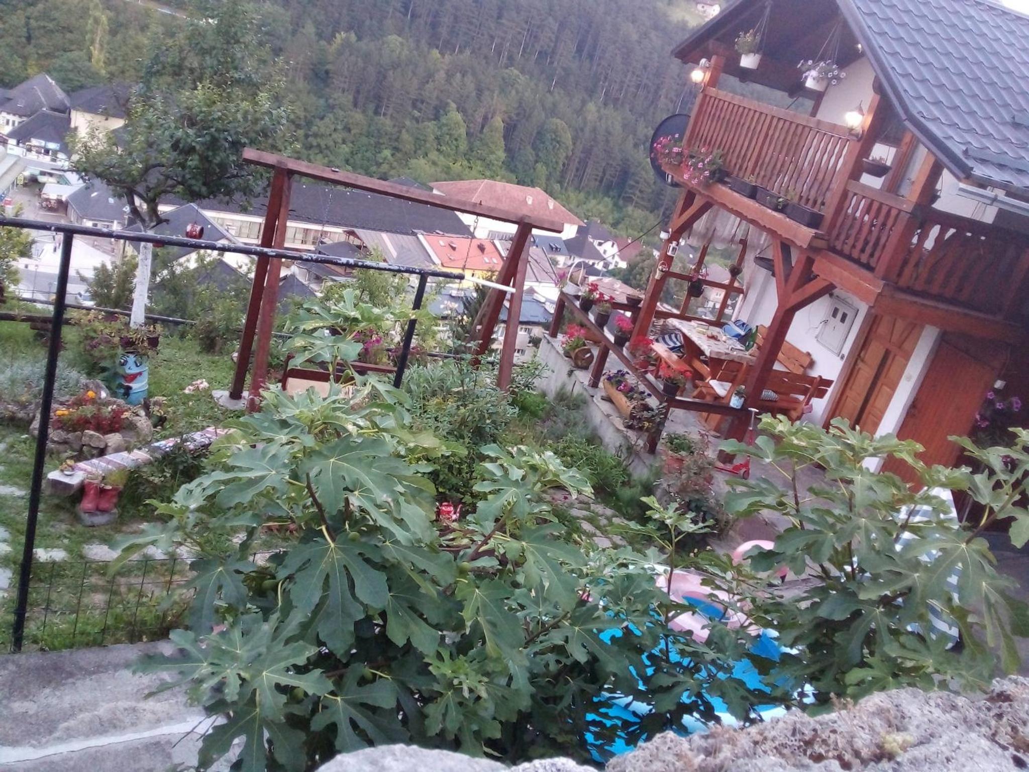 Privatni smještaj Kurtalija