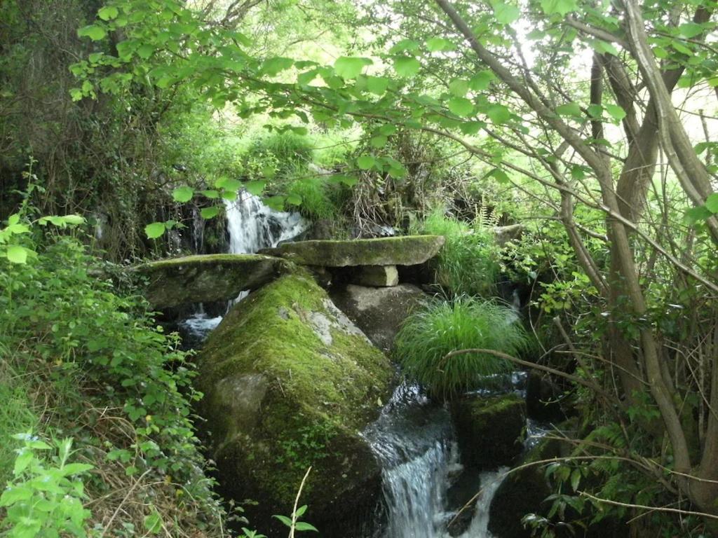 Photo 45