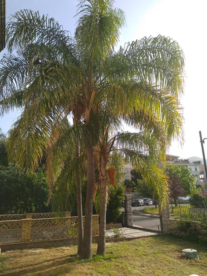 Villa Magnolia B&B view 2