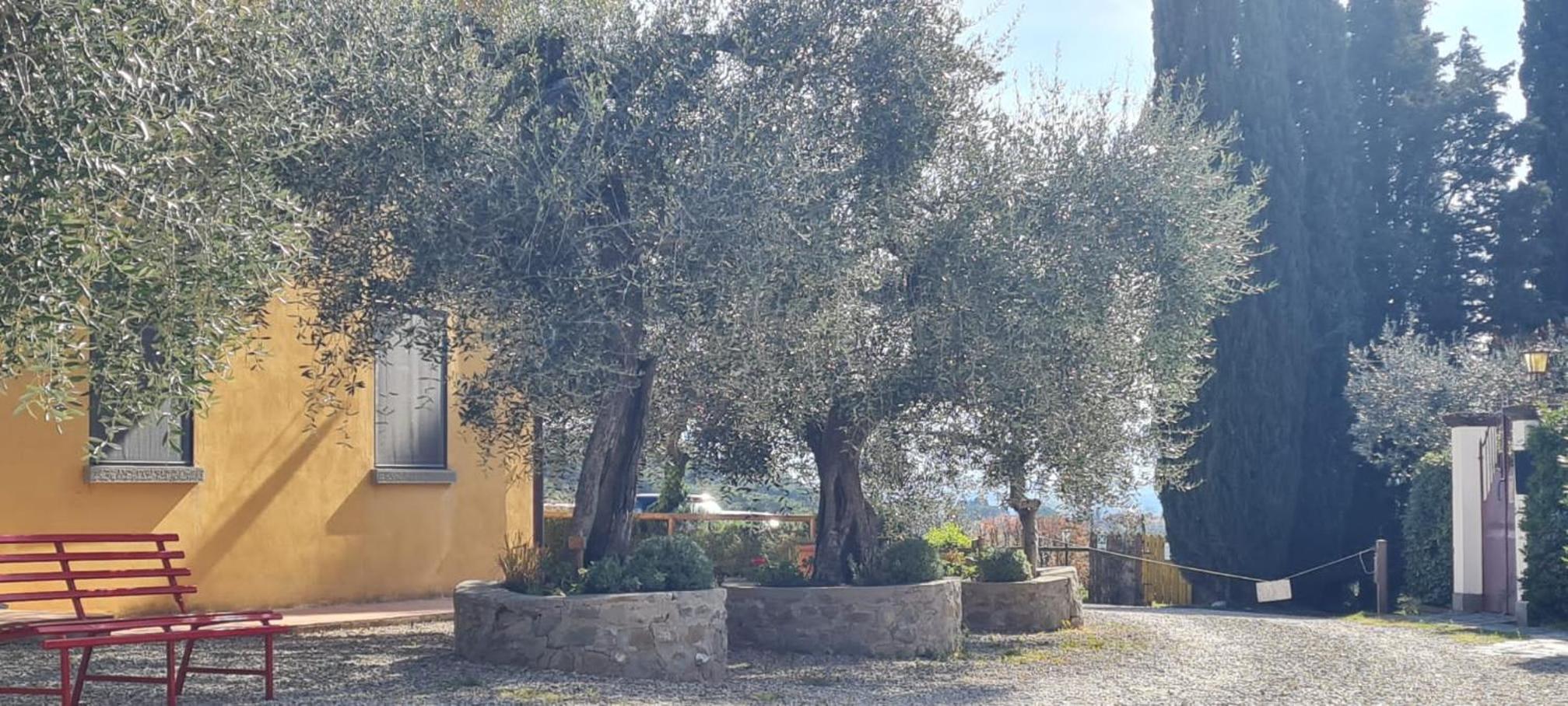 Agriturismo Il Pintello