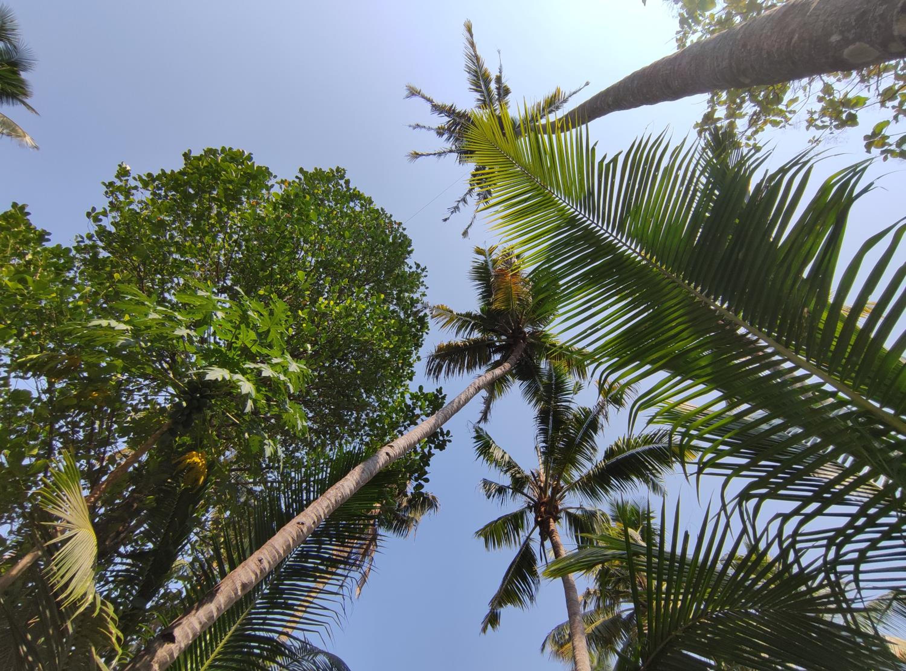 Mavila Beach Resort, Kerala's Heritage Temple Villa
