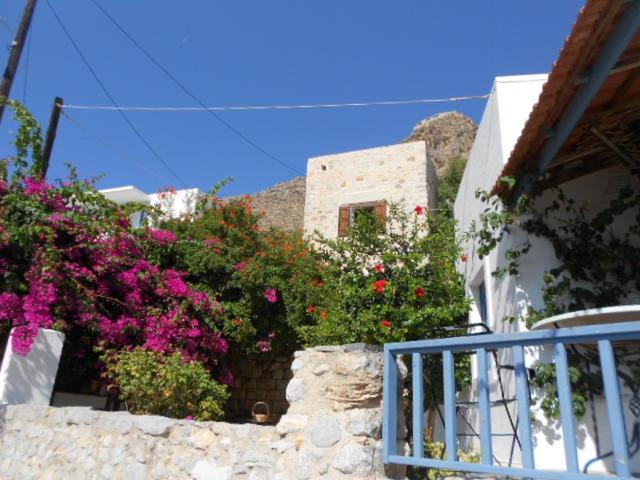 Photo 43