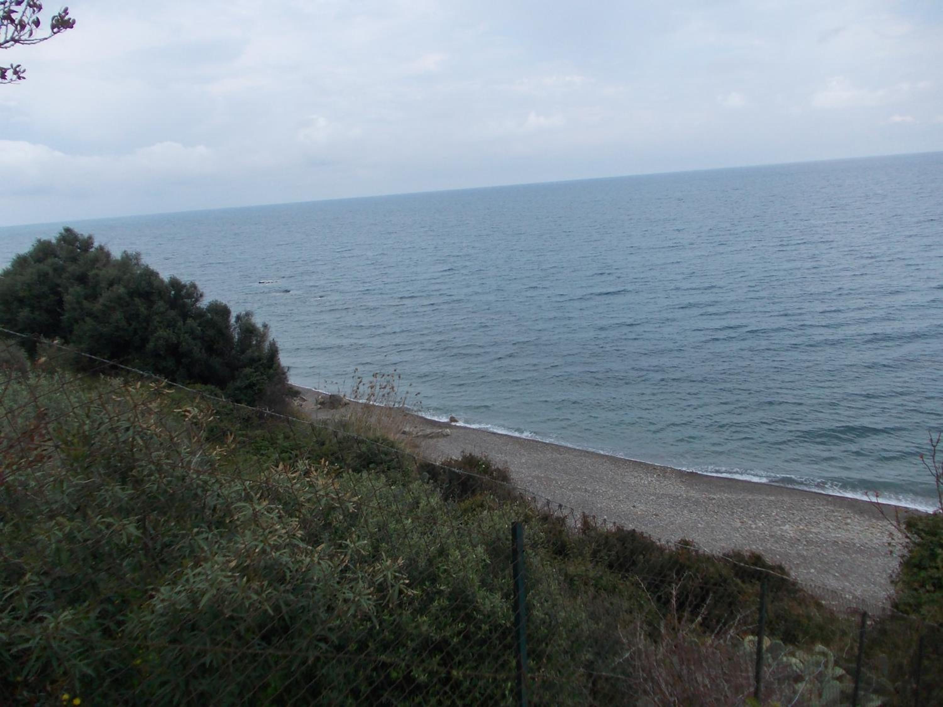 Soleli