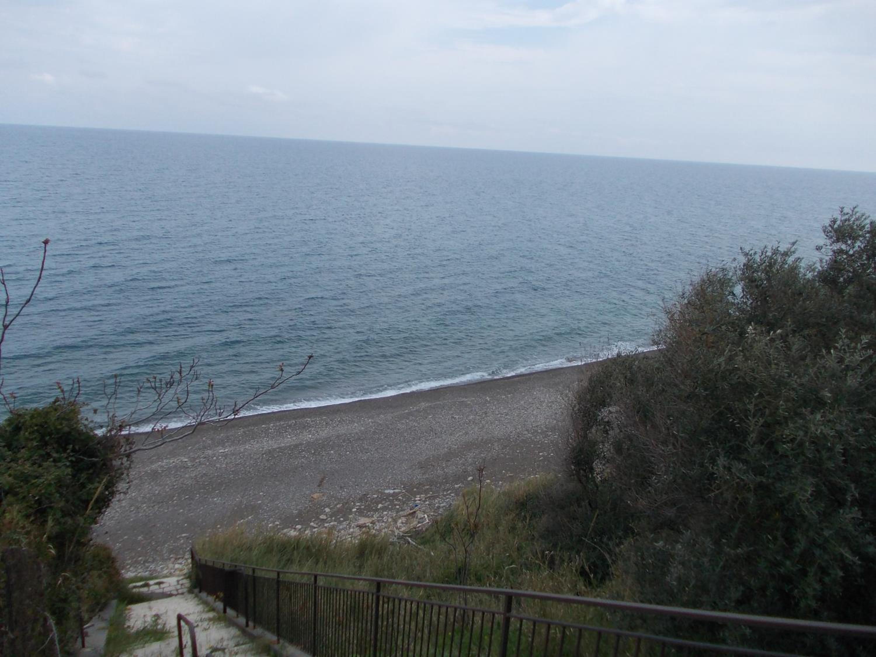Soleli