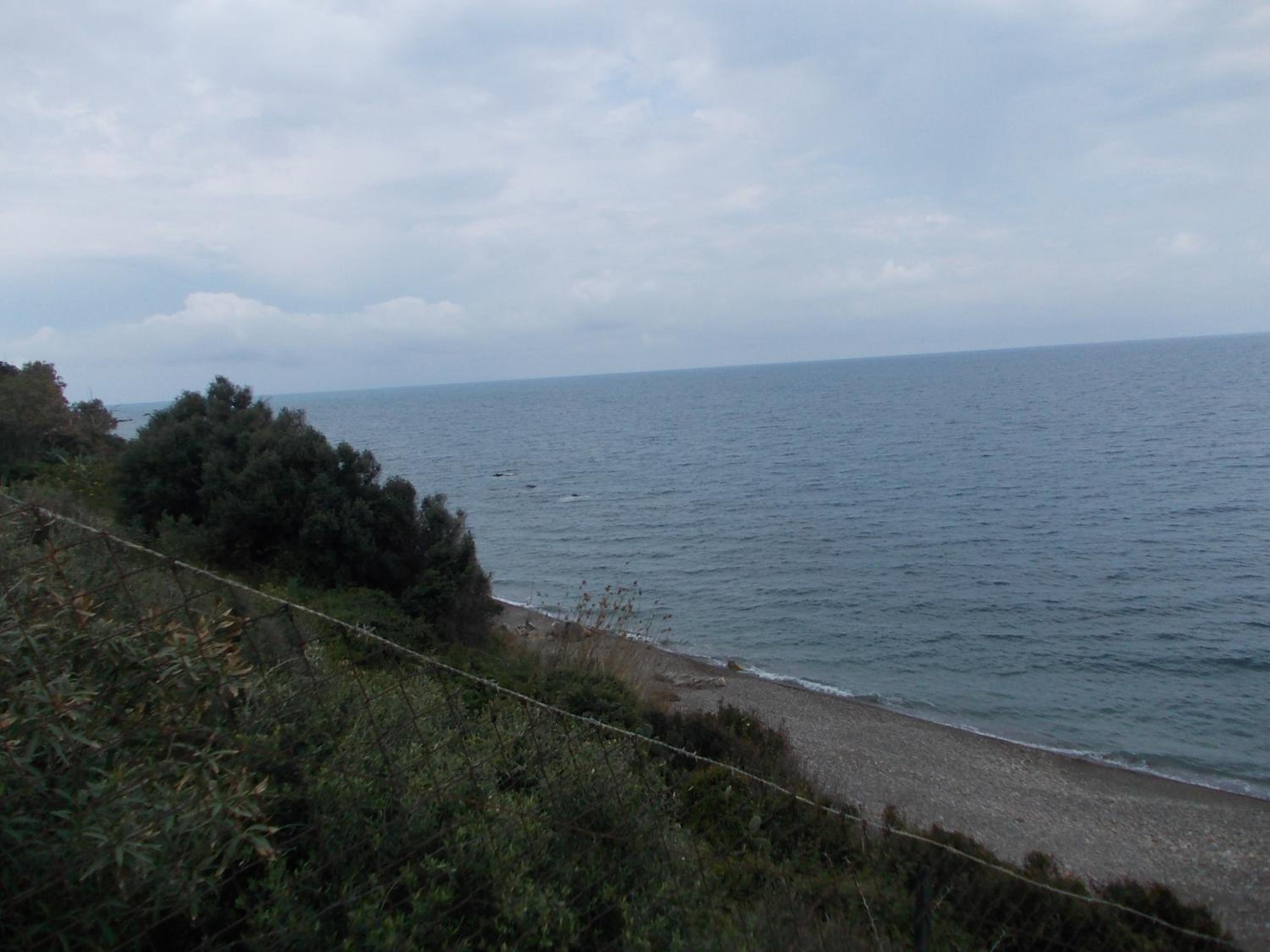Soleli