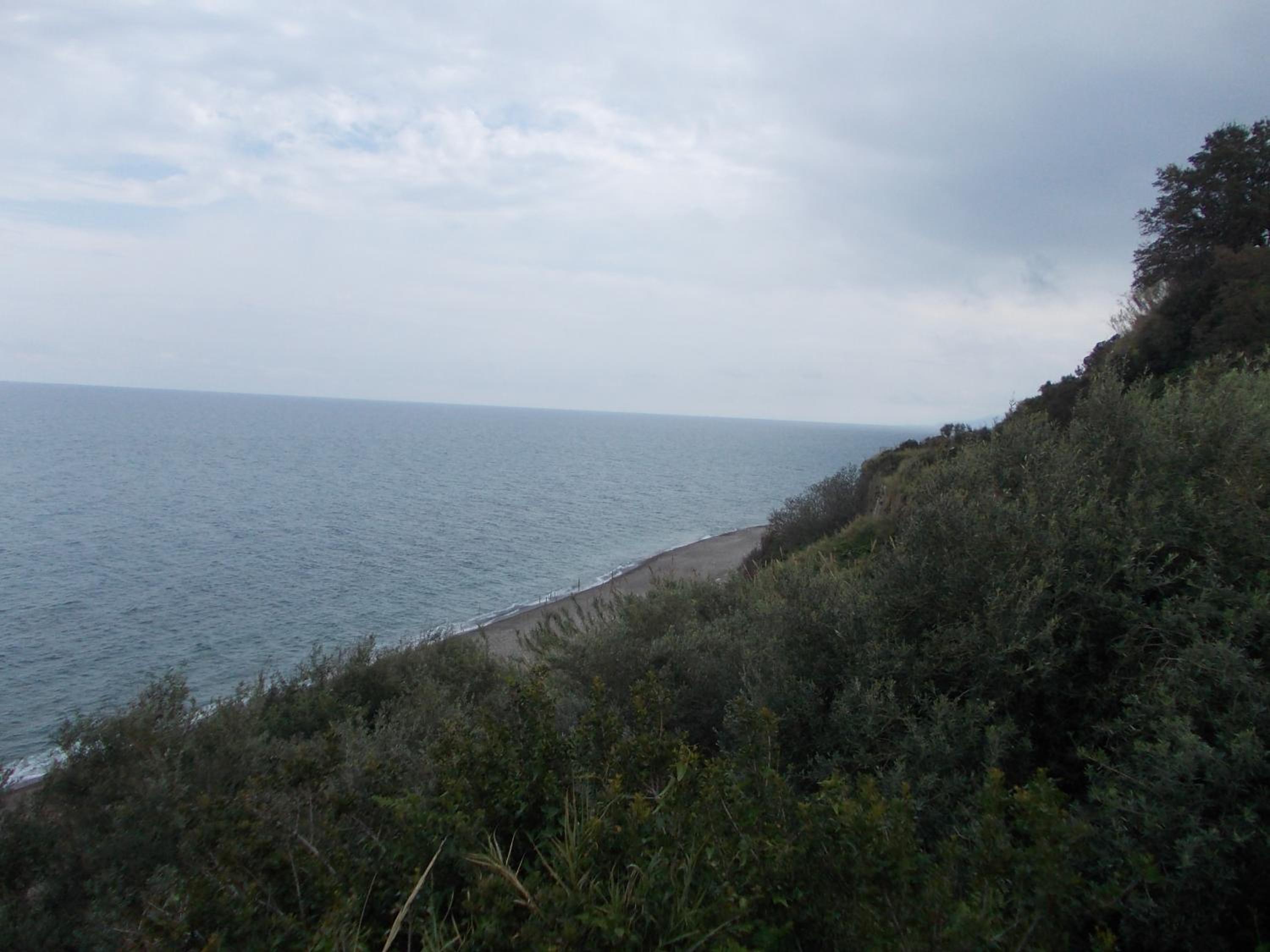 Soleli