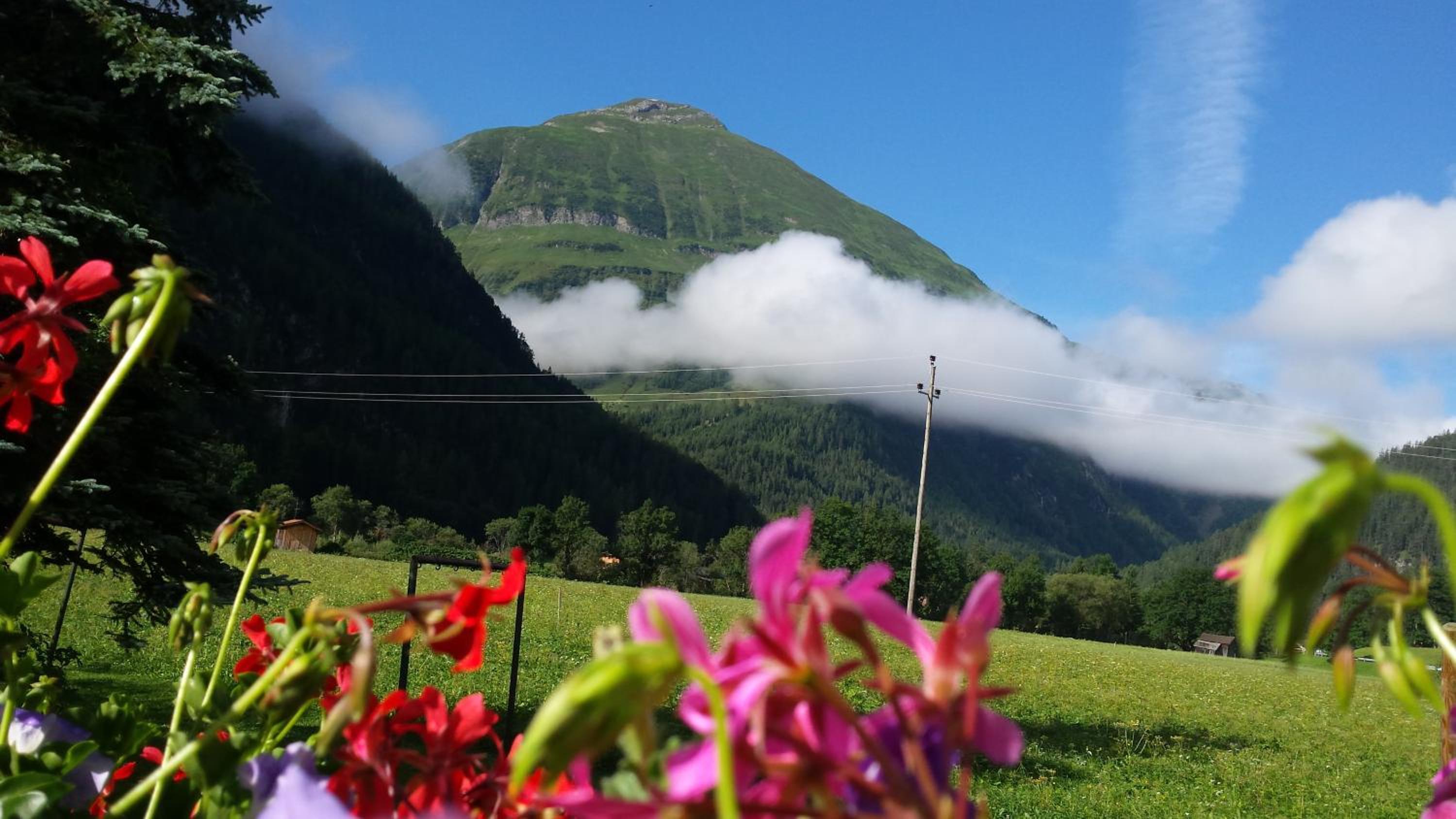 Gasthof Schwarzer Adler in Hägerau-Steeg Naturpark Lechtal