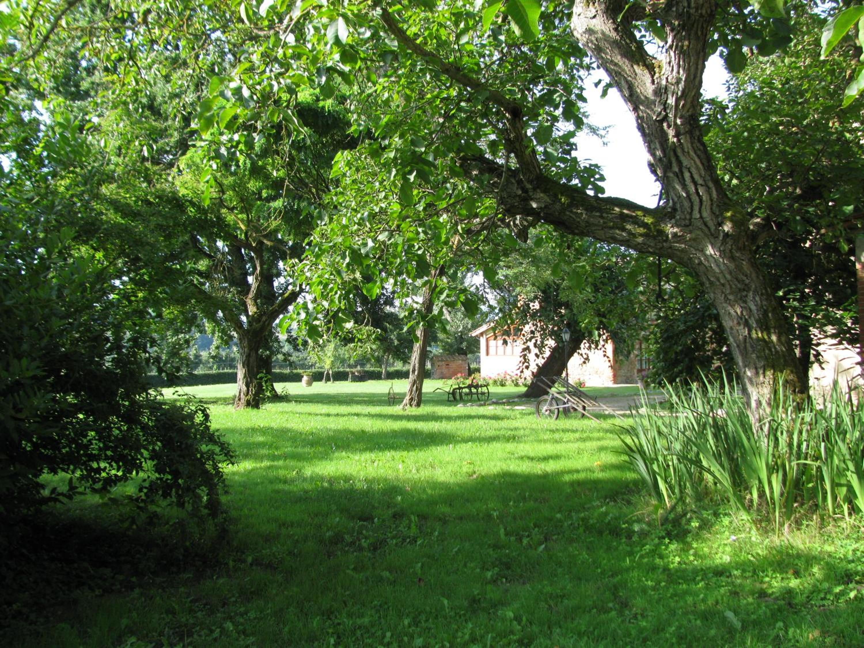 Photo 24