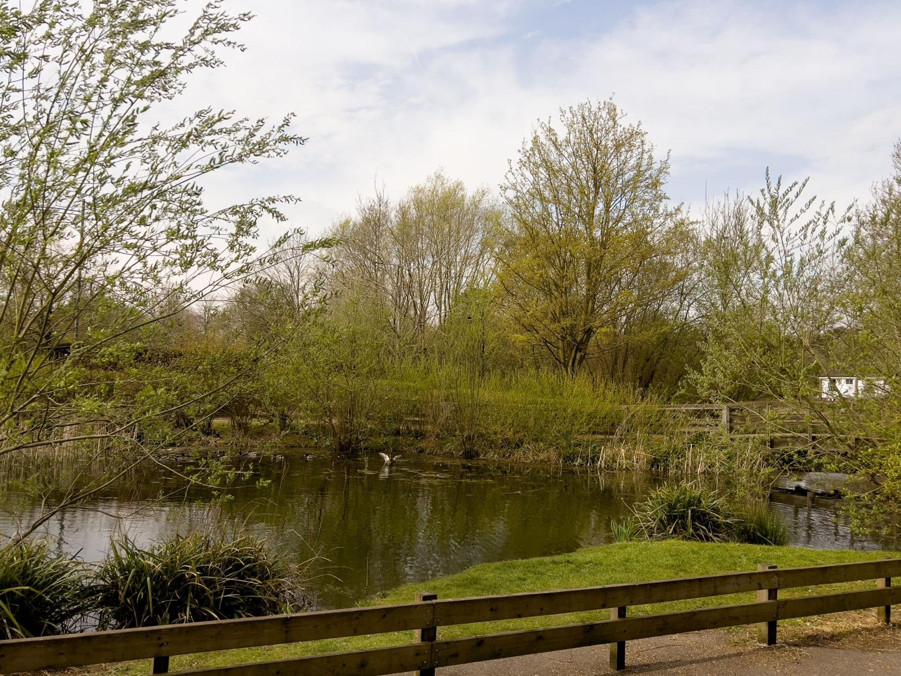 Miller Cottage a luxury 1550's cottage in the Historic centre of Saffron Walden view 4