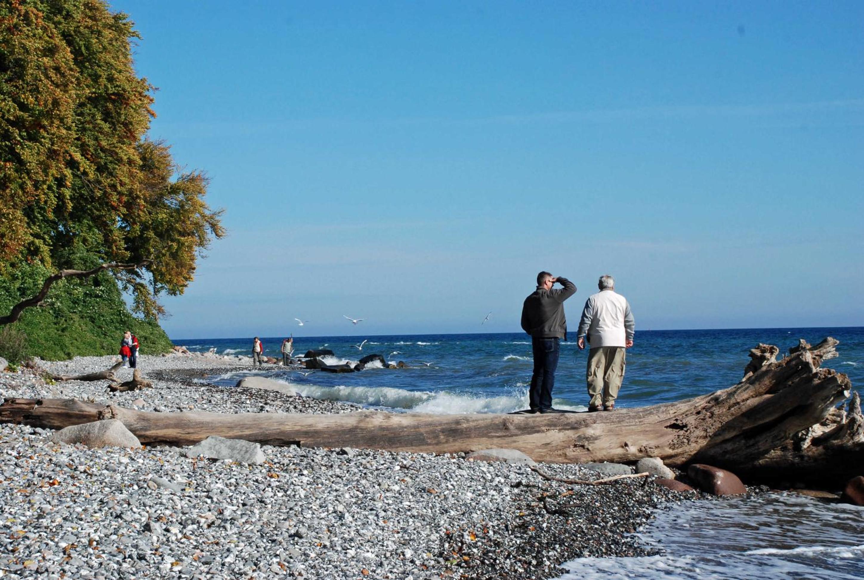 Ferienwohnungen zwischen Ostsee und Bodden view 3
