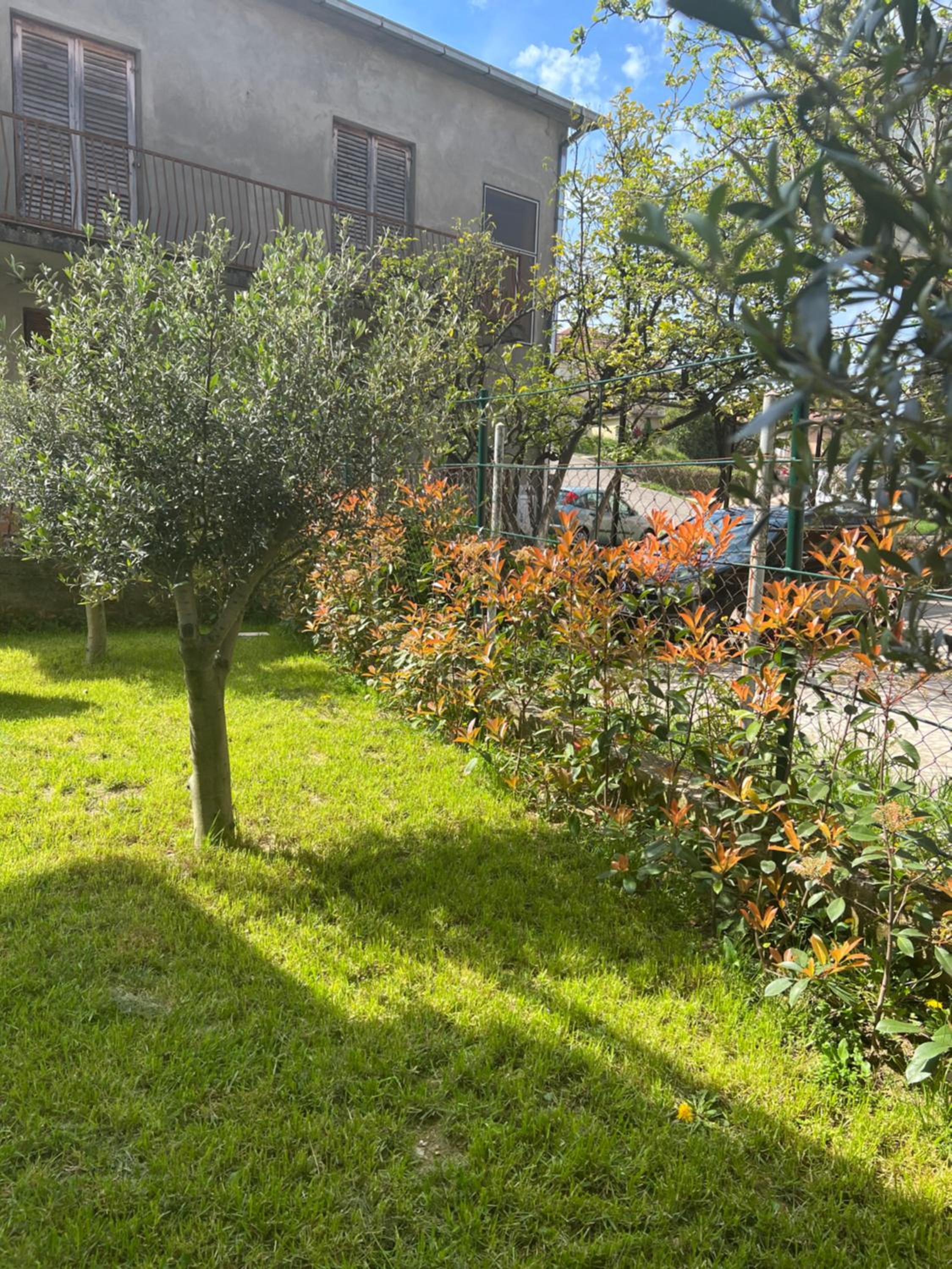 Venice Apartments view 5