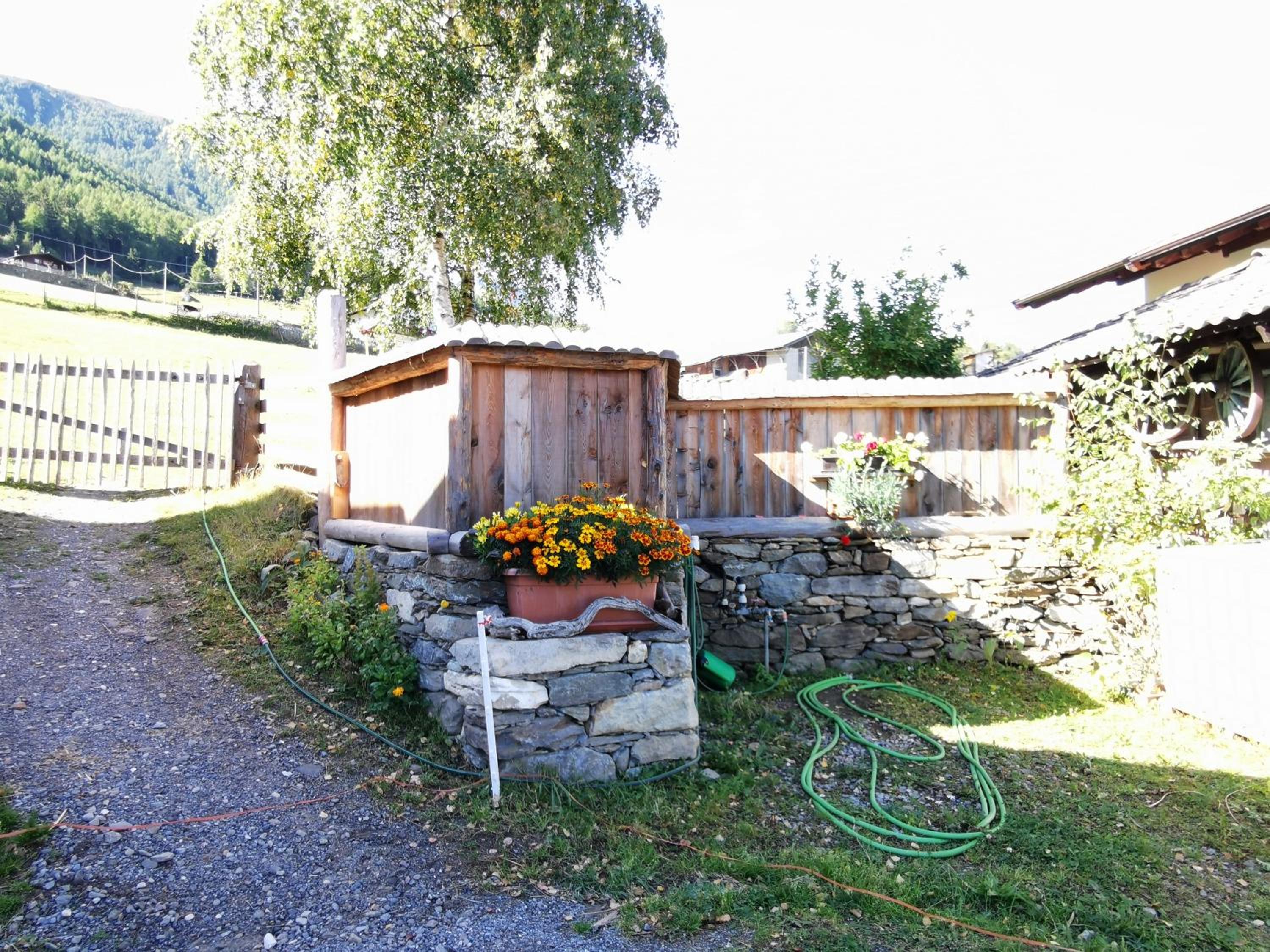 Photo 31