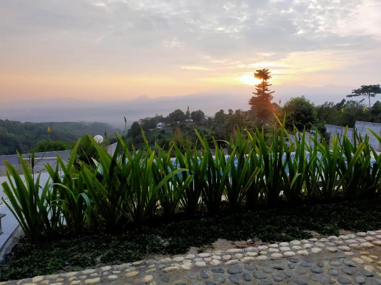 RD Cottage Hills view 2