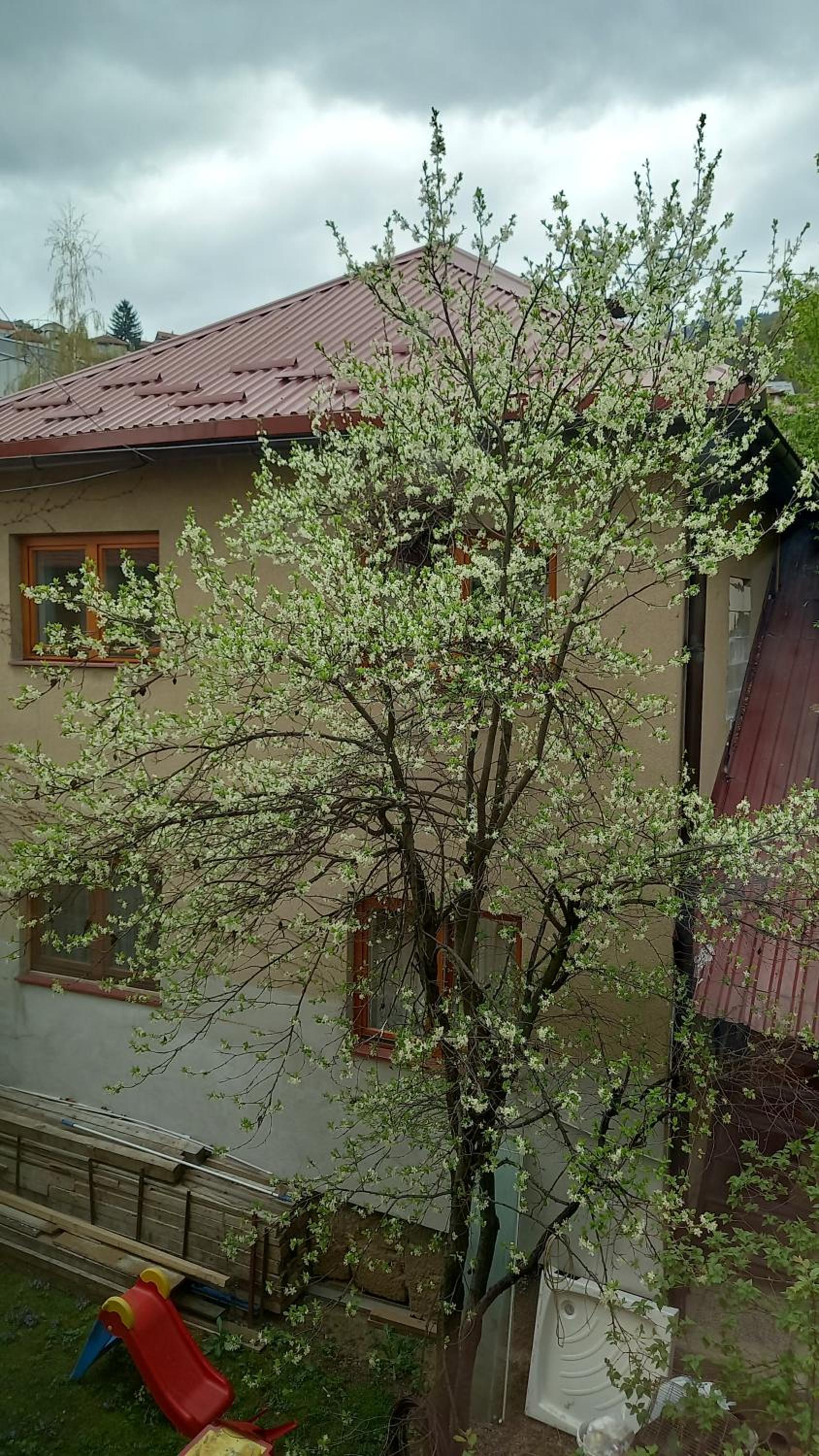 Mahala Apartments - Free Garage