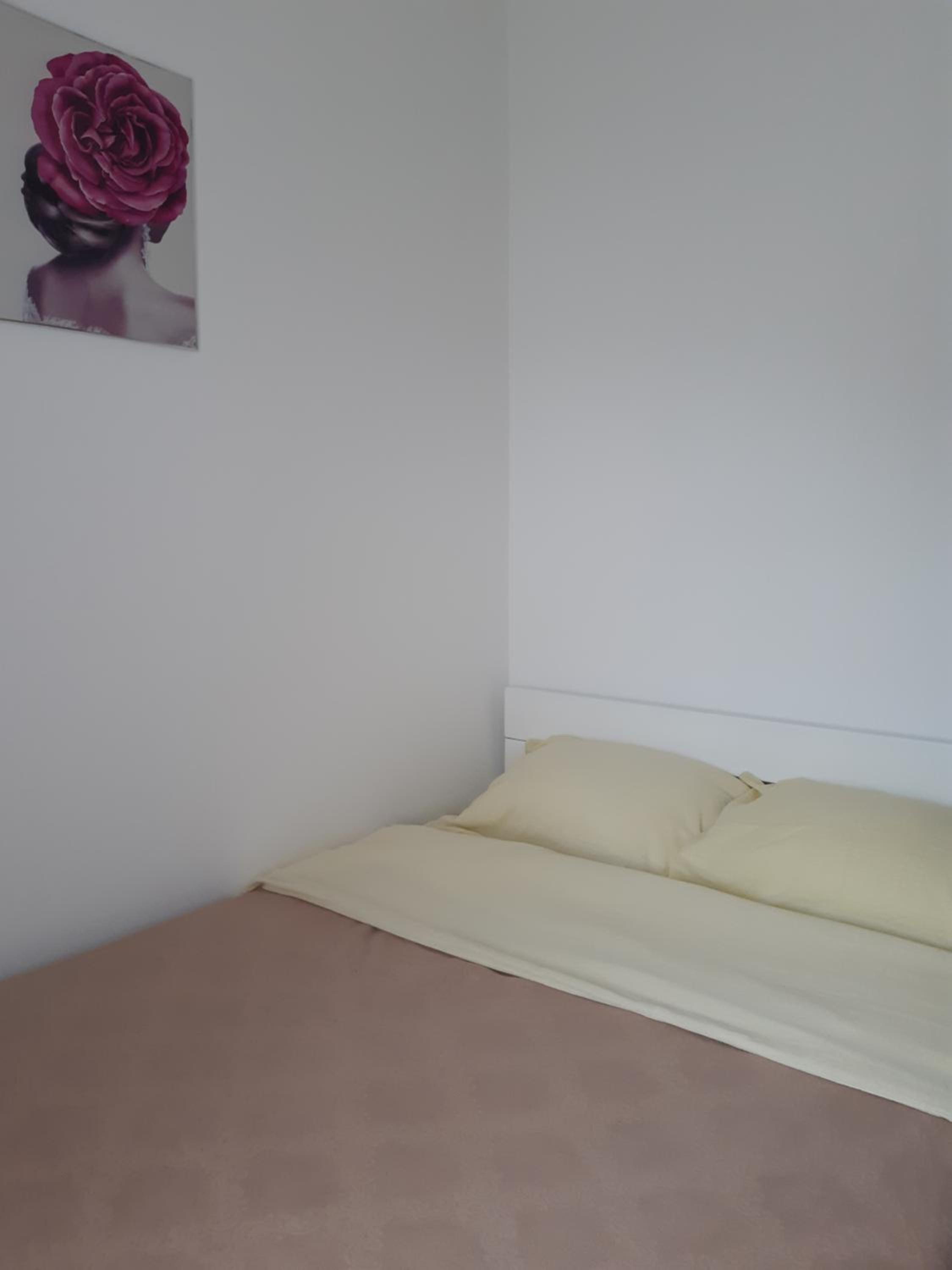 APARTMAN LALA view 4