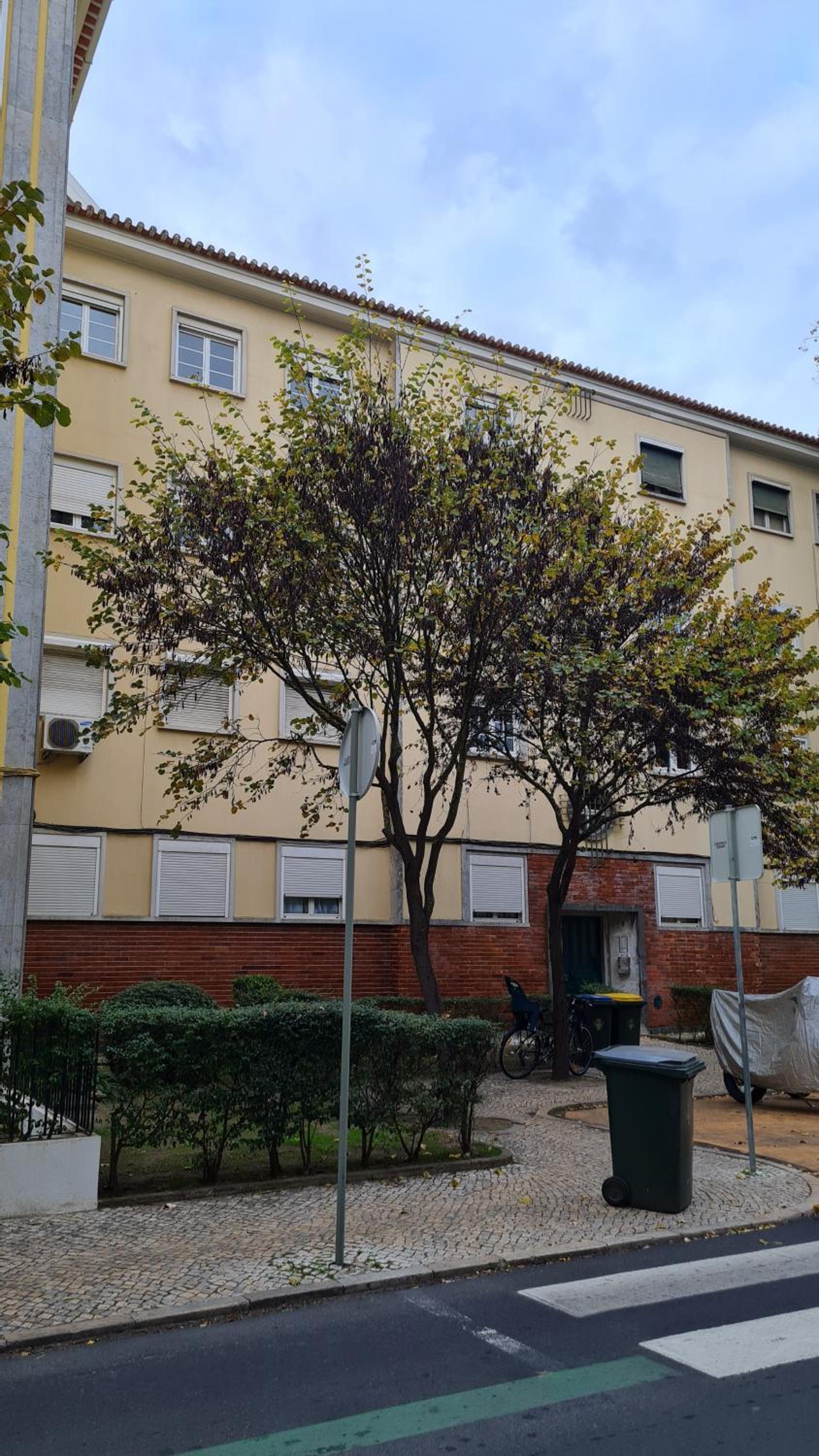 Photo 39