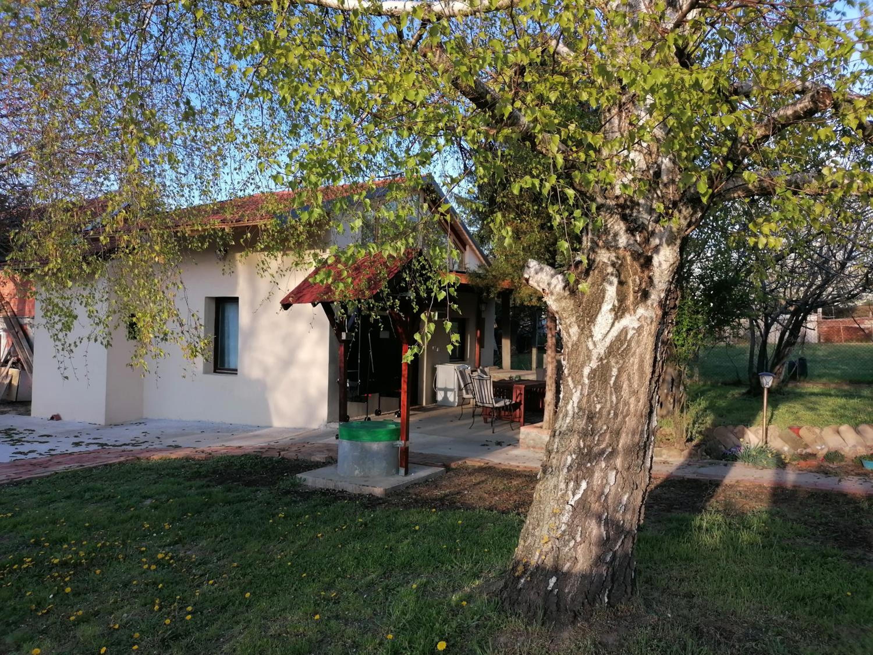 Photo 41