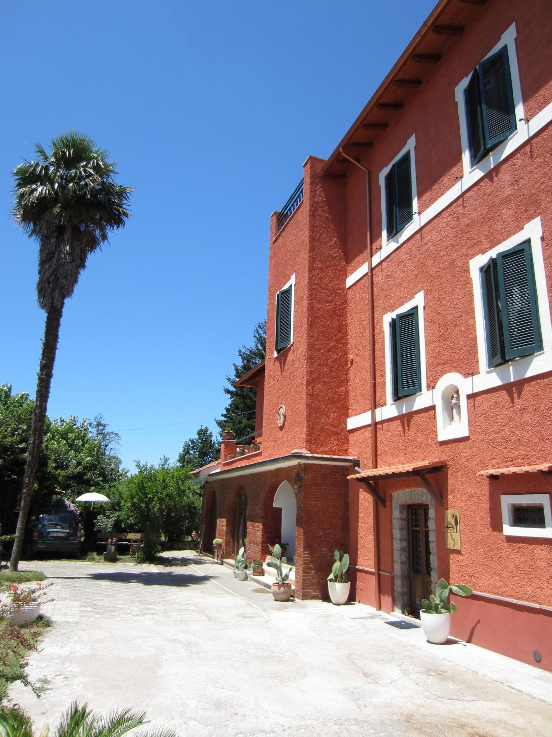 Photo 41
