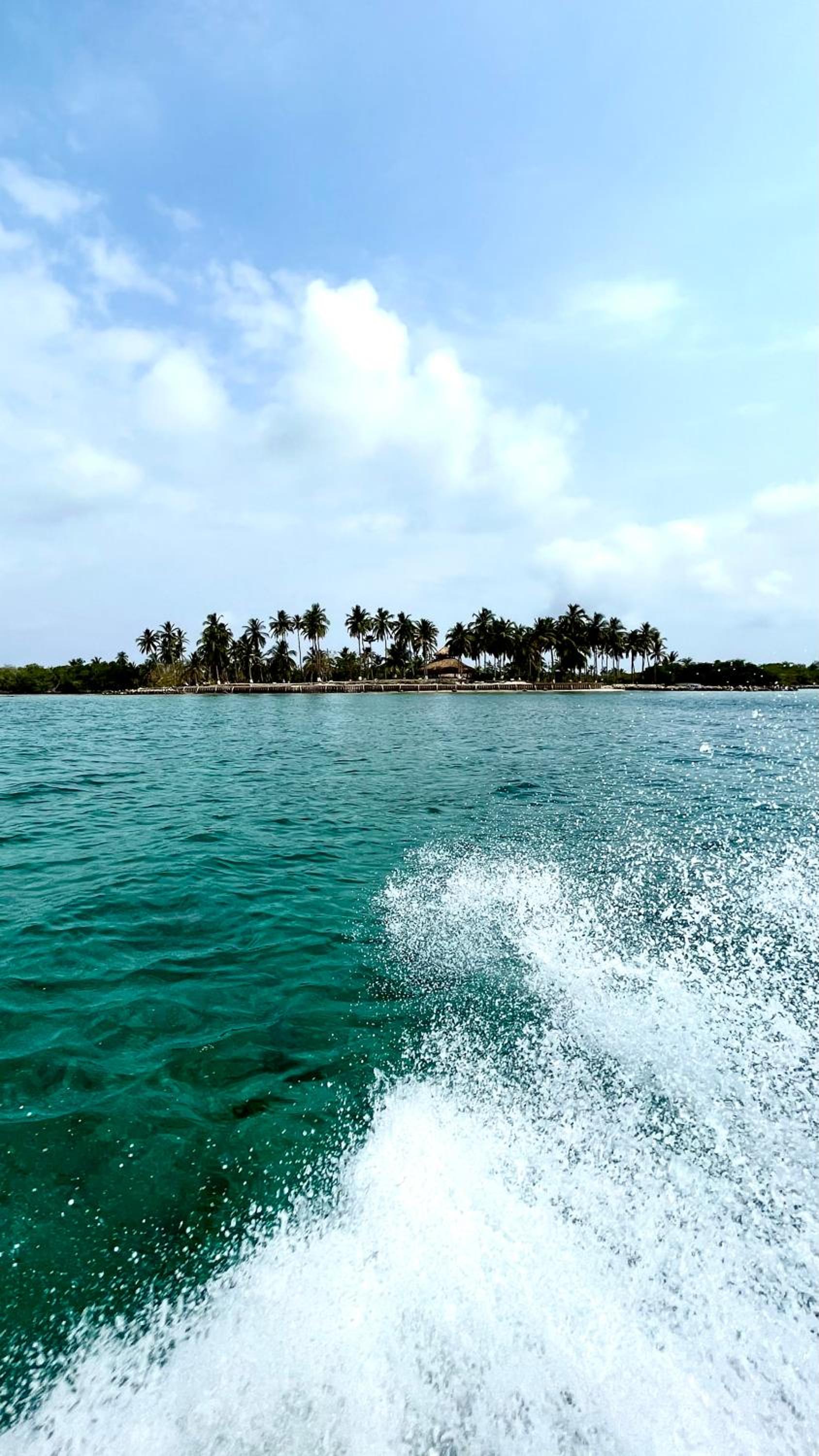 Photo 42