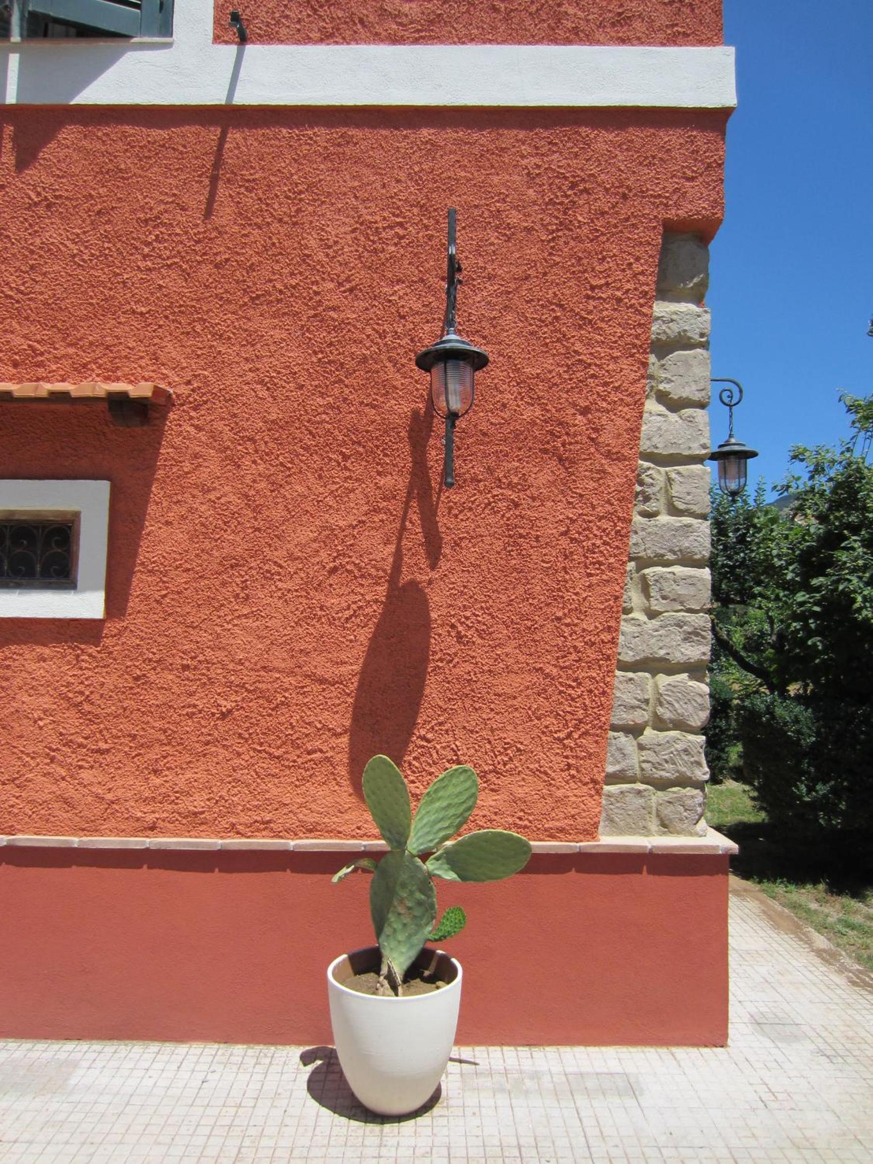 Photo 42