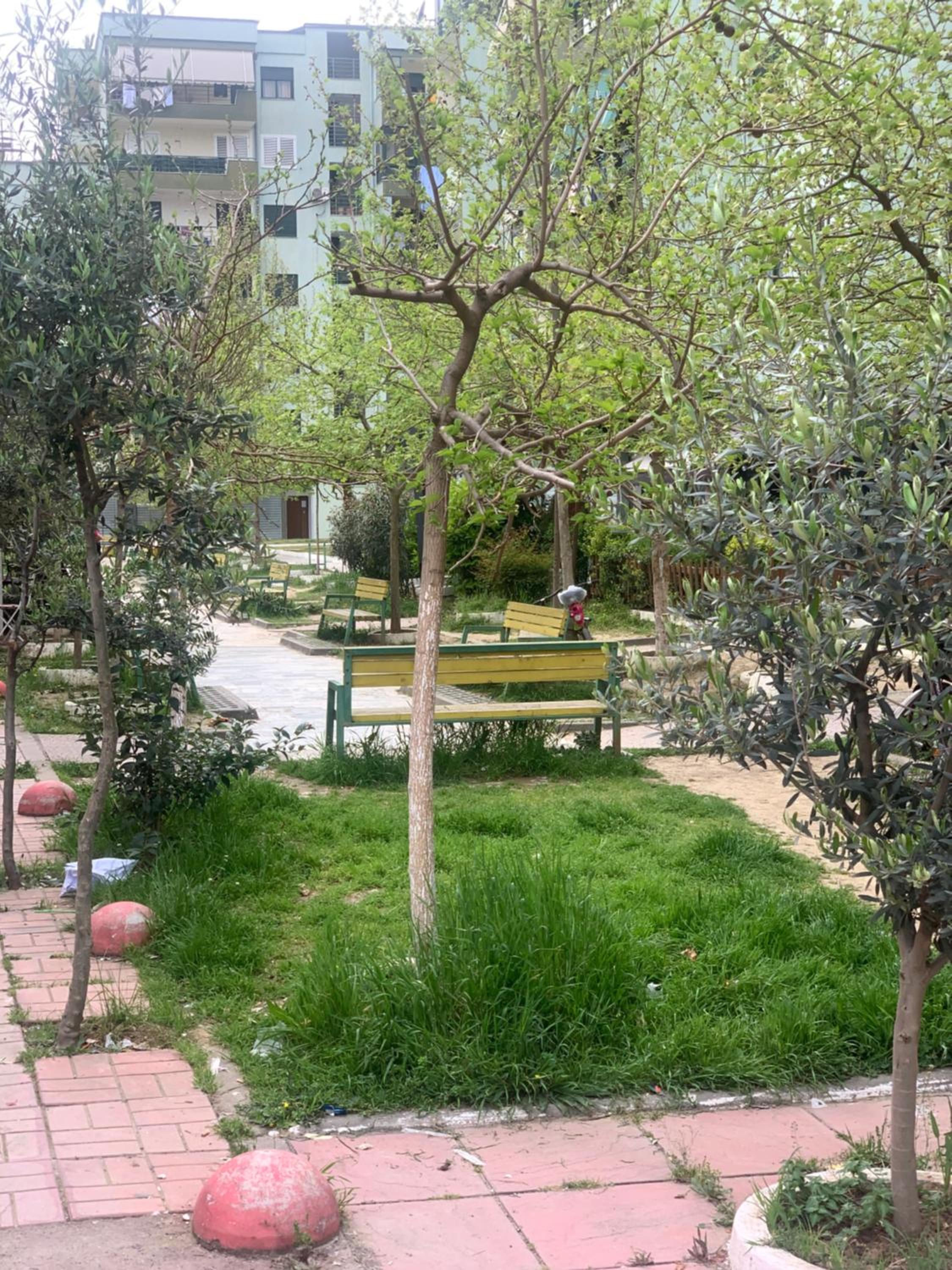 Daily Apartment