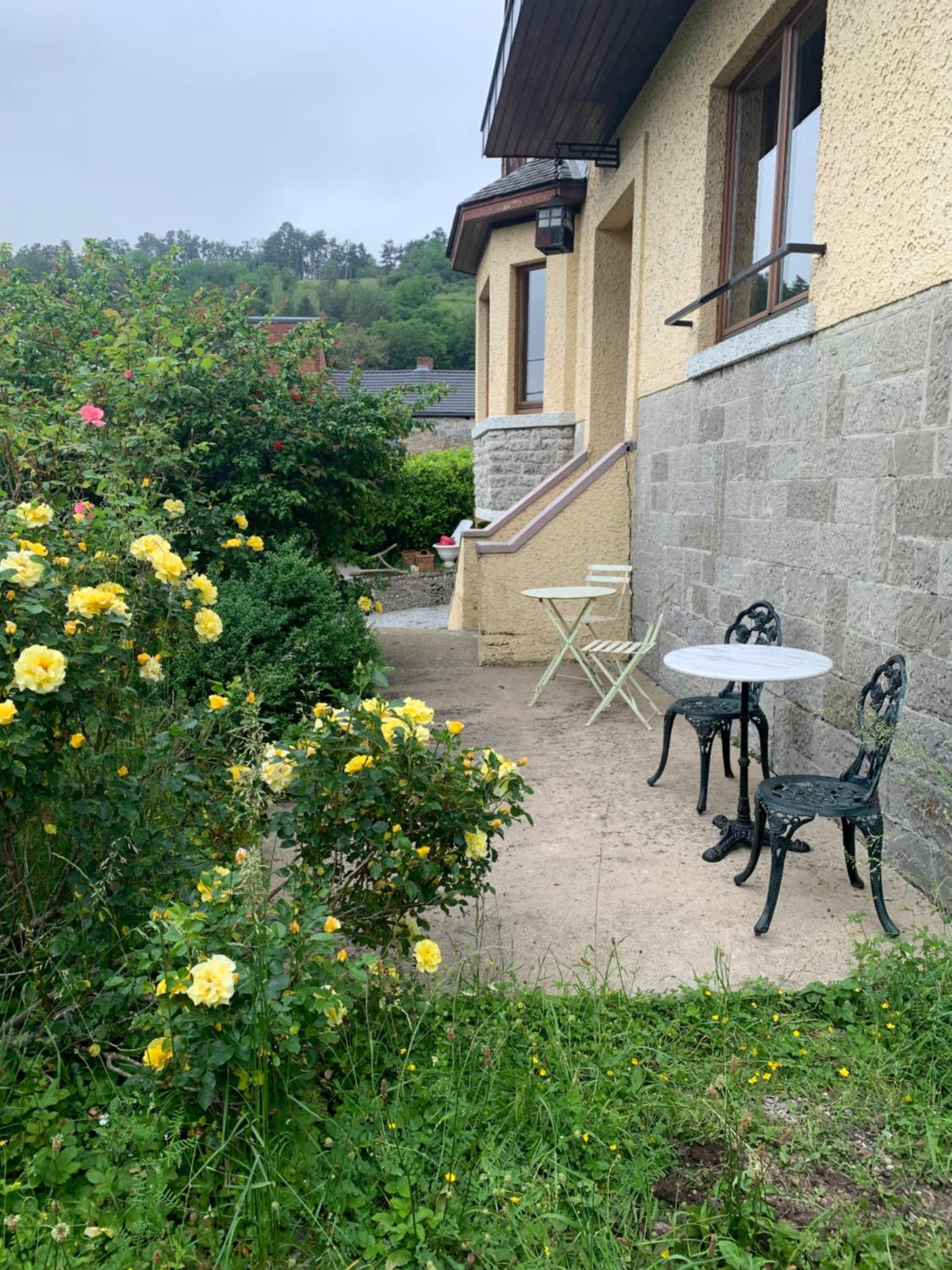 Gezellige villa met houtkachel, sauna en zonnige tuin
