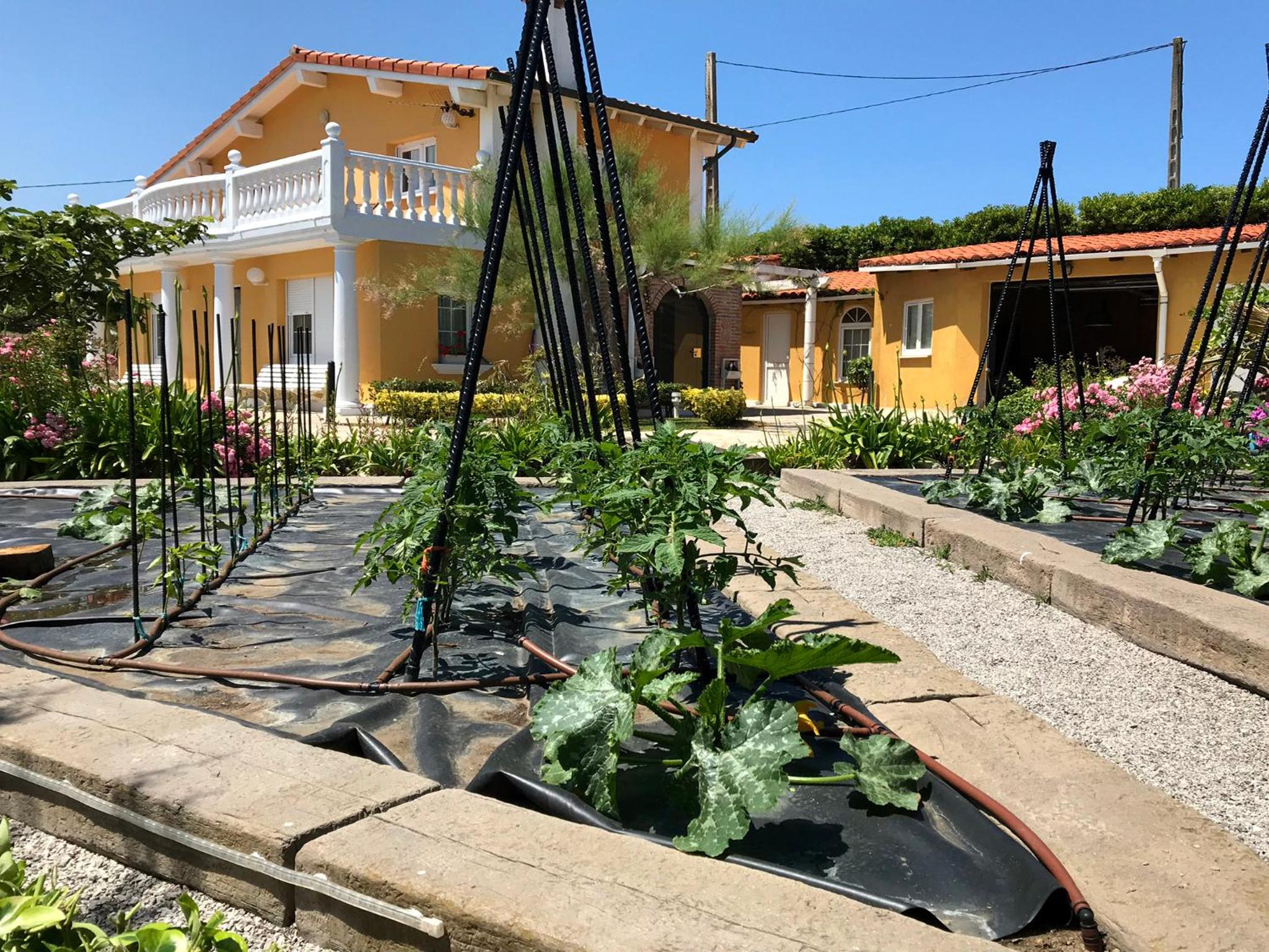 Robayera Family Beach Home view 3