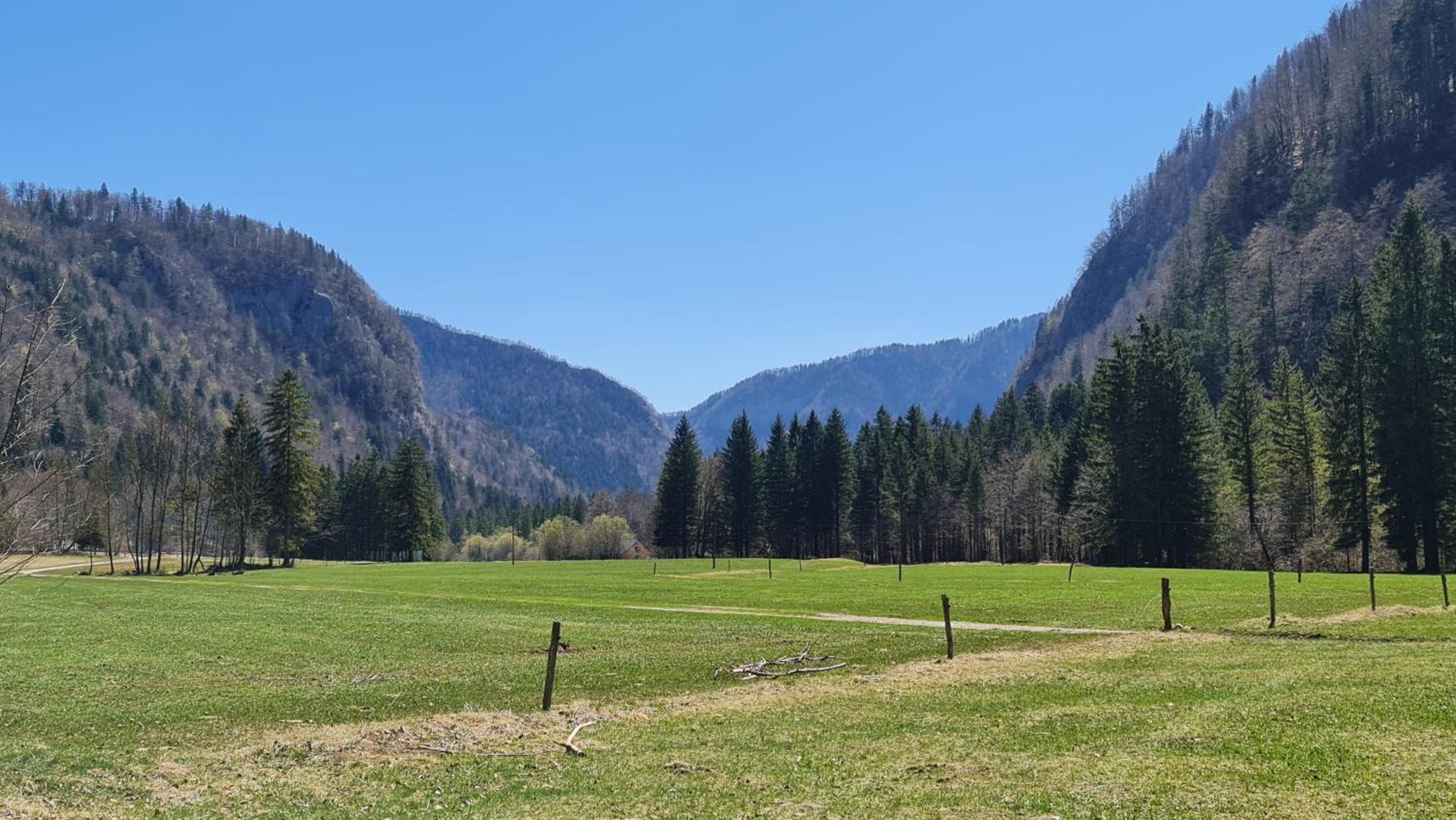 Radovna Mountain Valley Cottage view 4