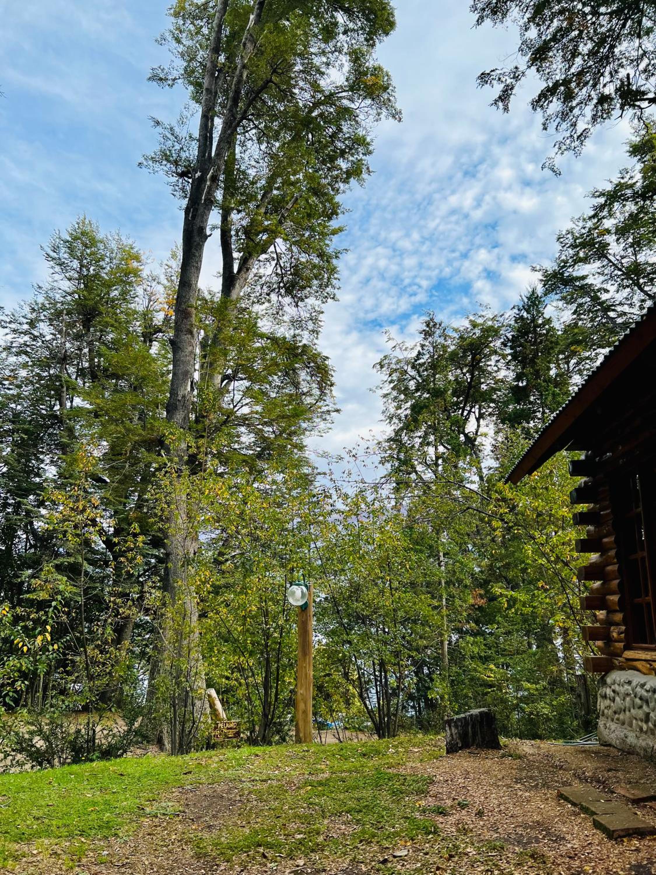 Cabaña en la costa del Lago Futalaufquen - Parque Nacional Los Alerces