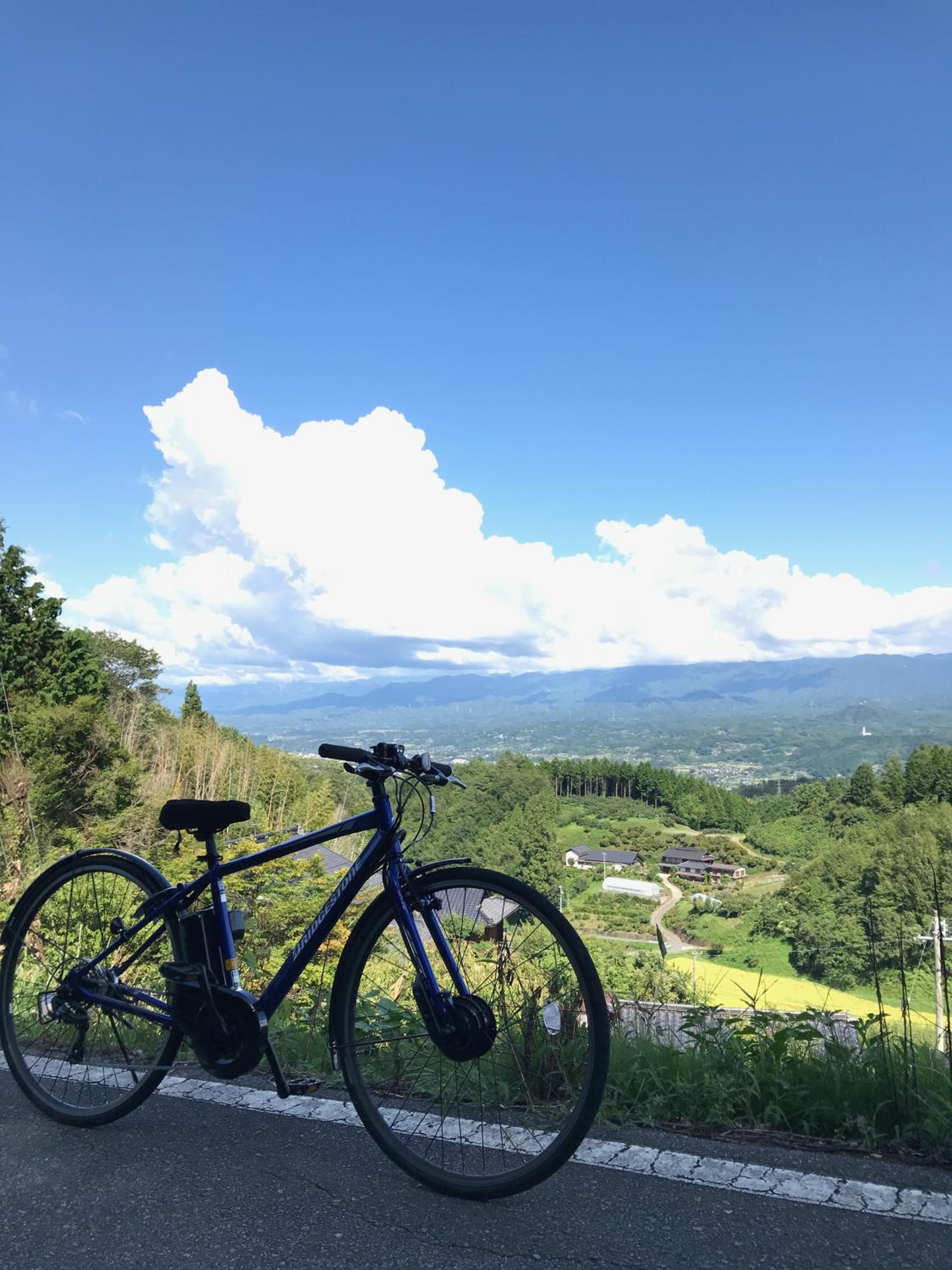 PEDAL TERRACE view 2