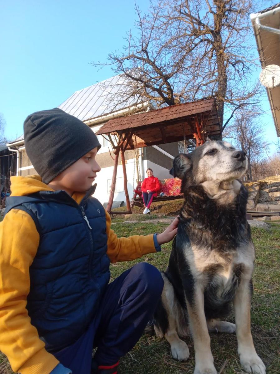 Photo 44