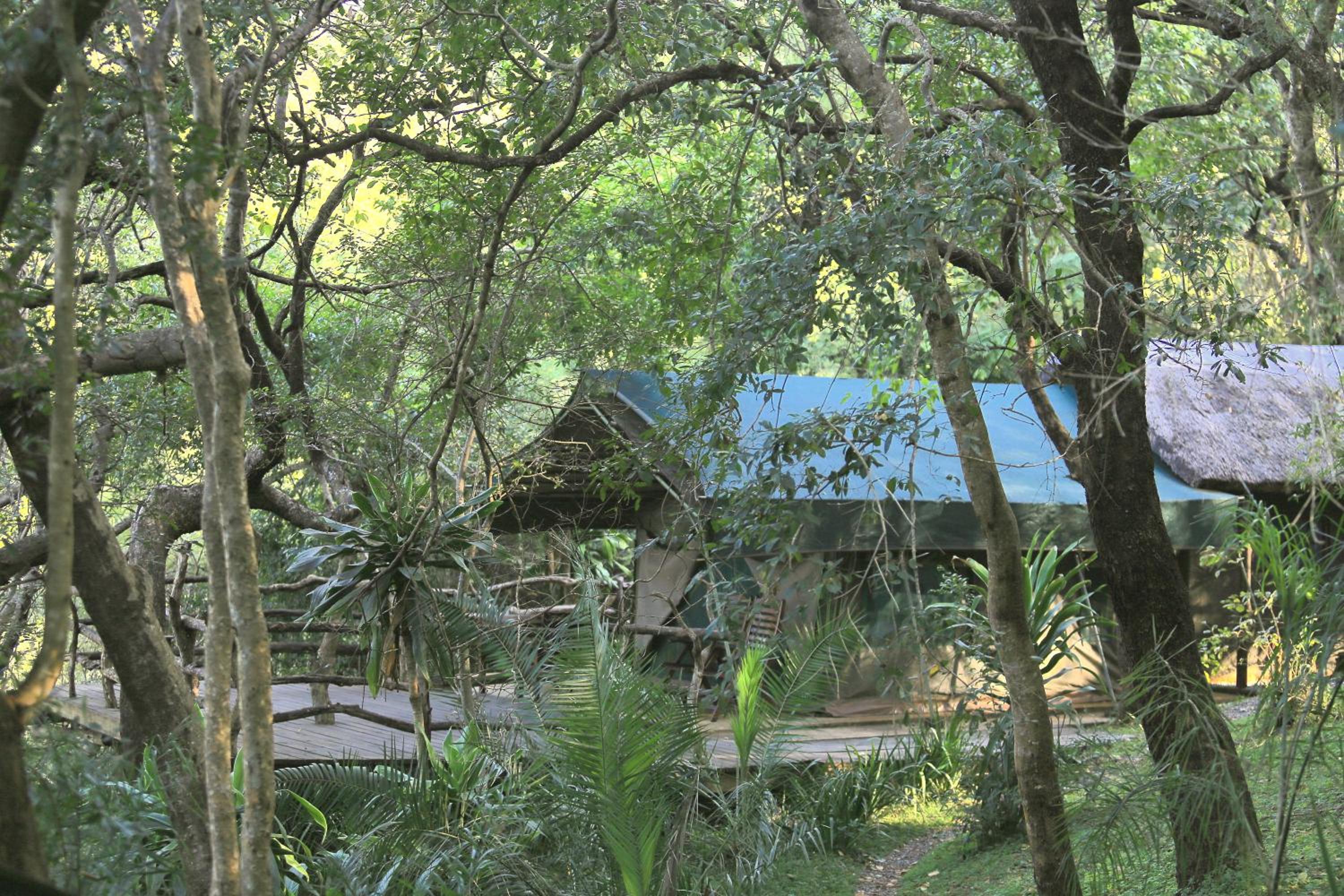 Phophonyane Falls Ecolodge