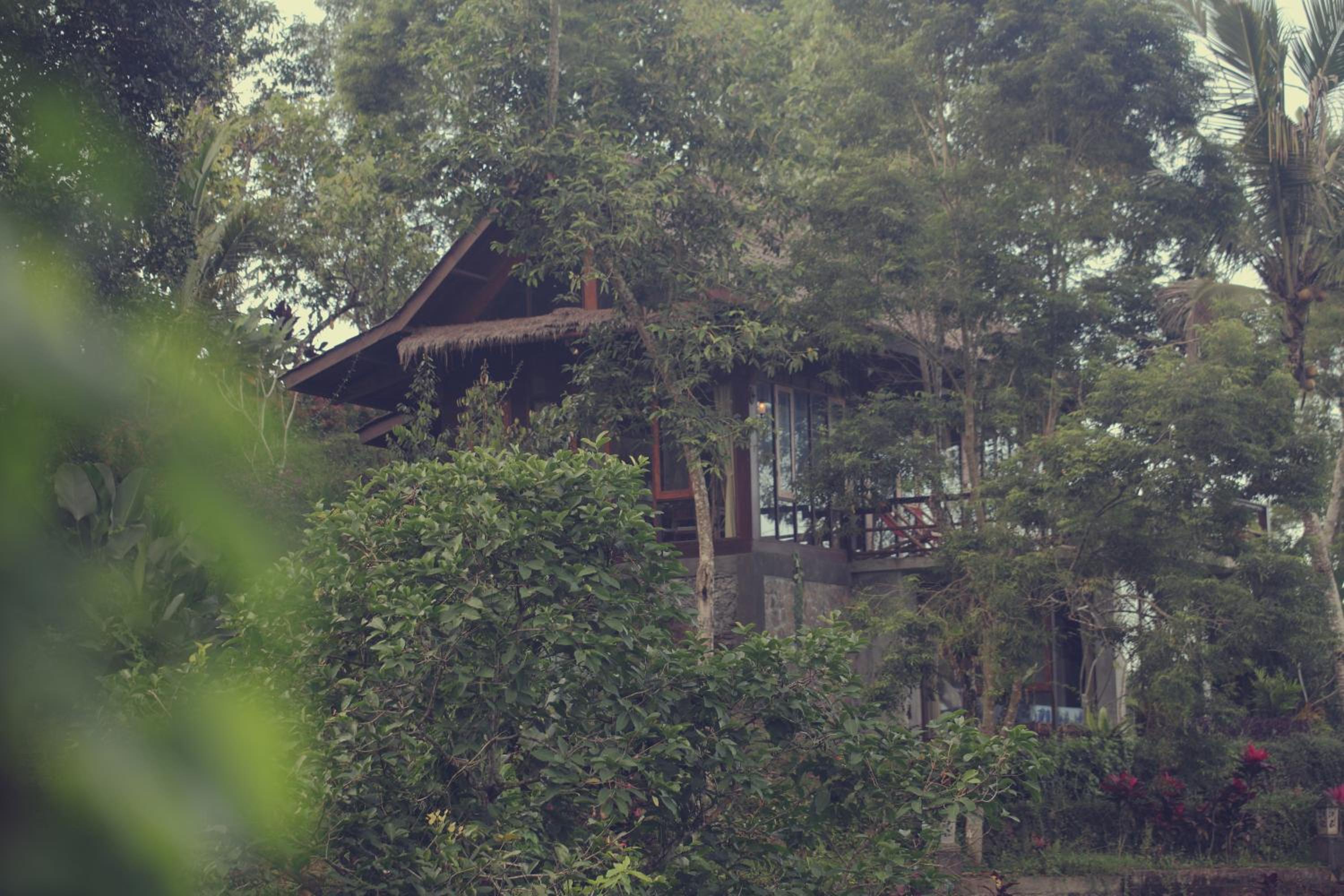 Sang Tirta Resort view 5