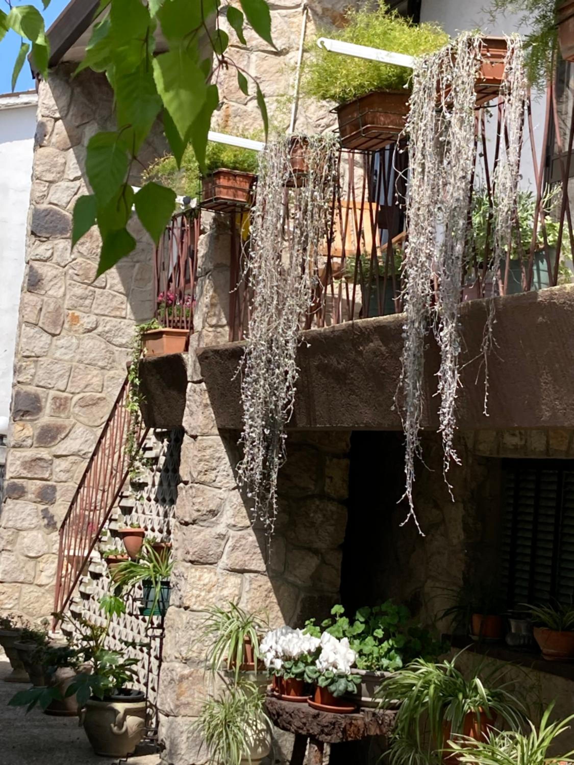 Tencarola B & B photo 2