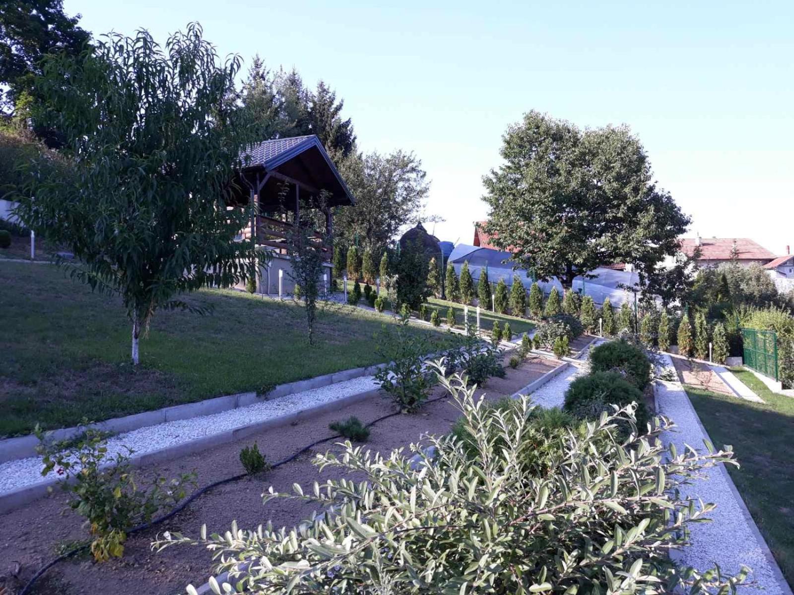 Villa Elma, photo 11