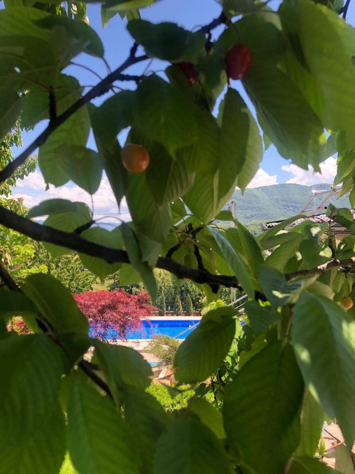 Villa Elma, photo 3