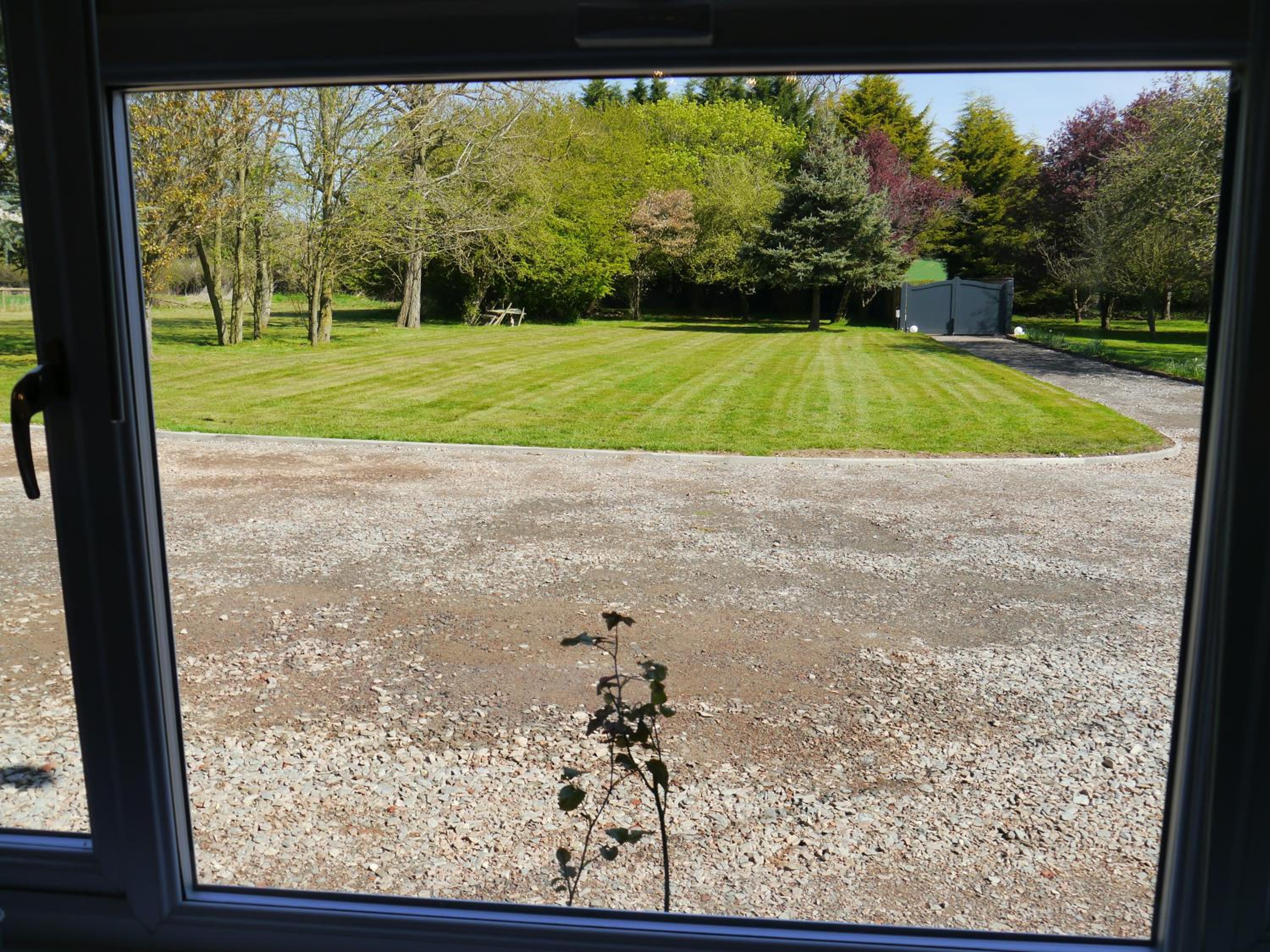 Photo 43