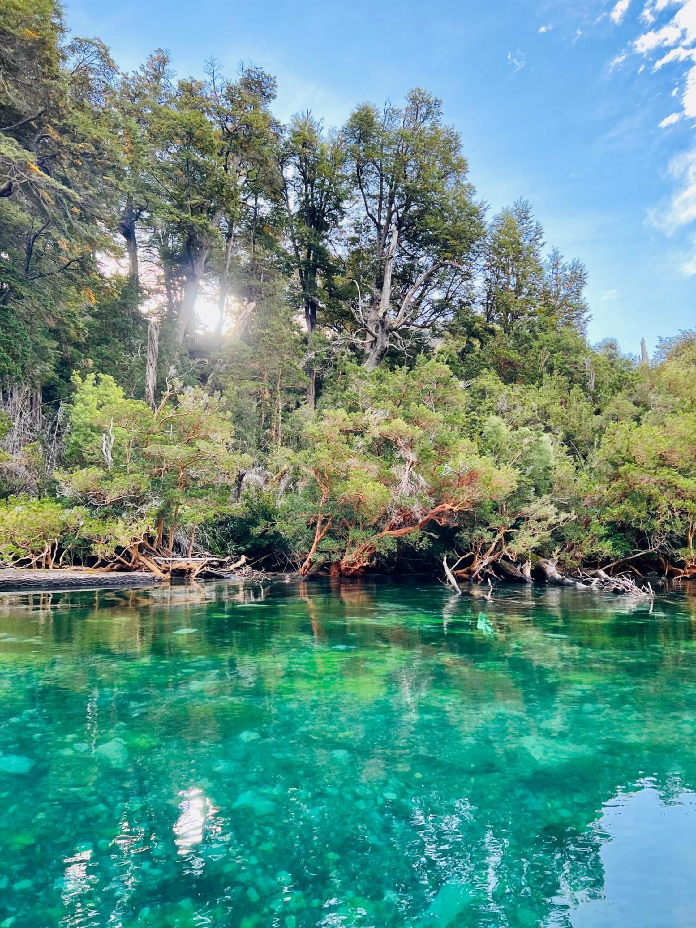 Cabaña en la costa del Lago Futalaufquen - Parque Nacional Los Alerces