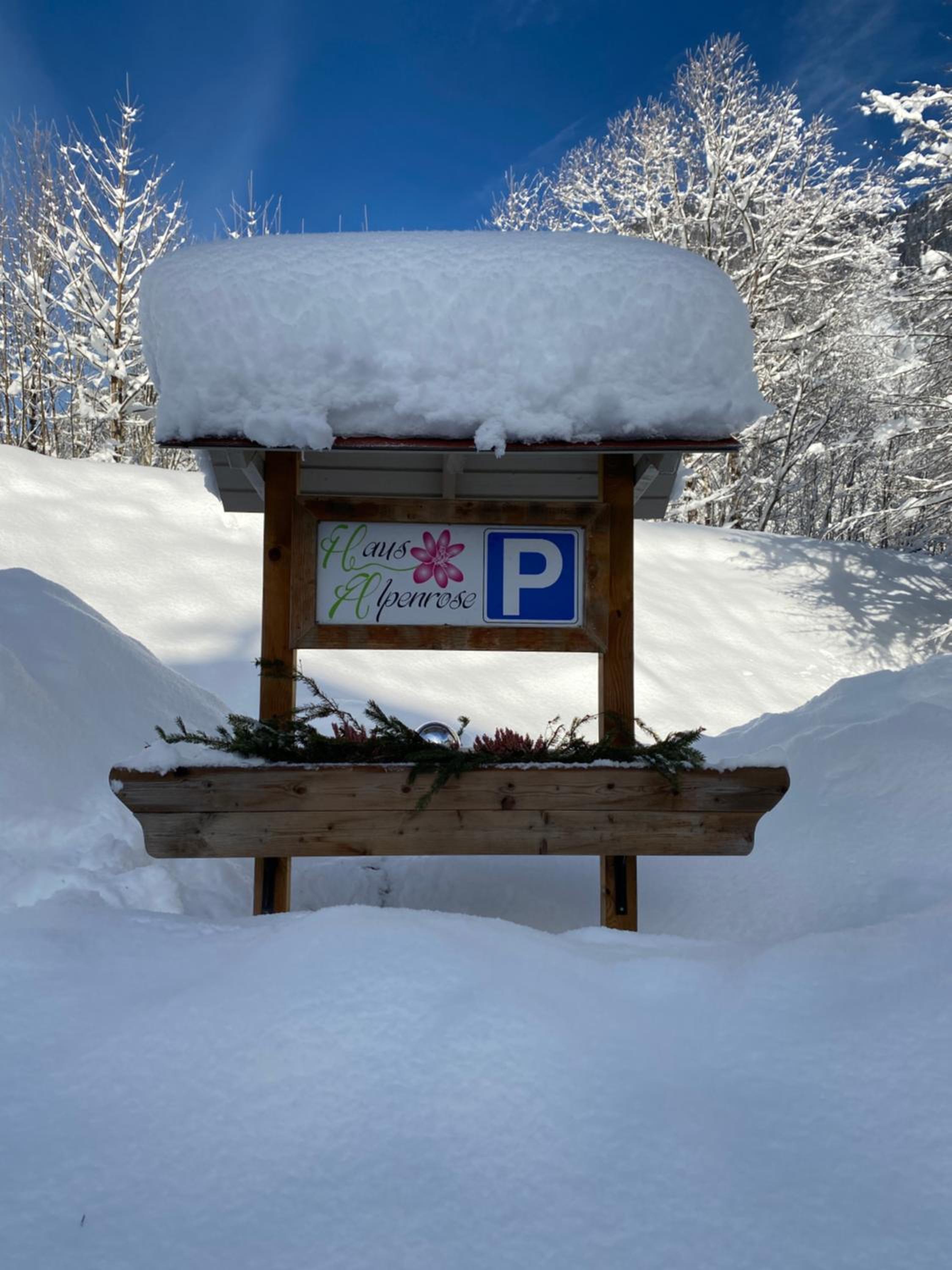 Haus Alpenrose