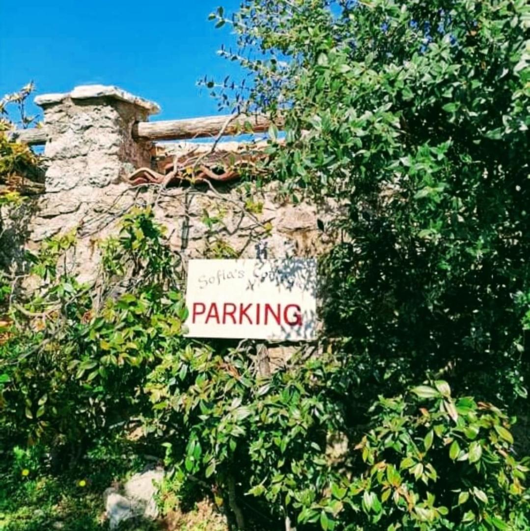 Photo 45