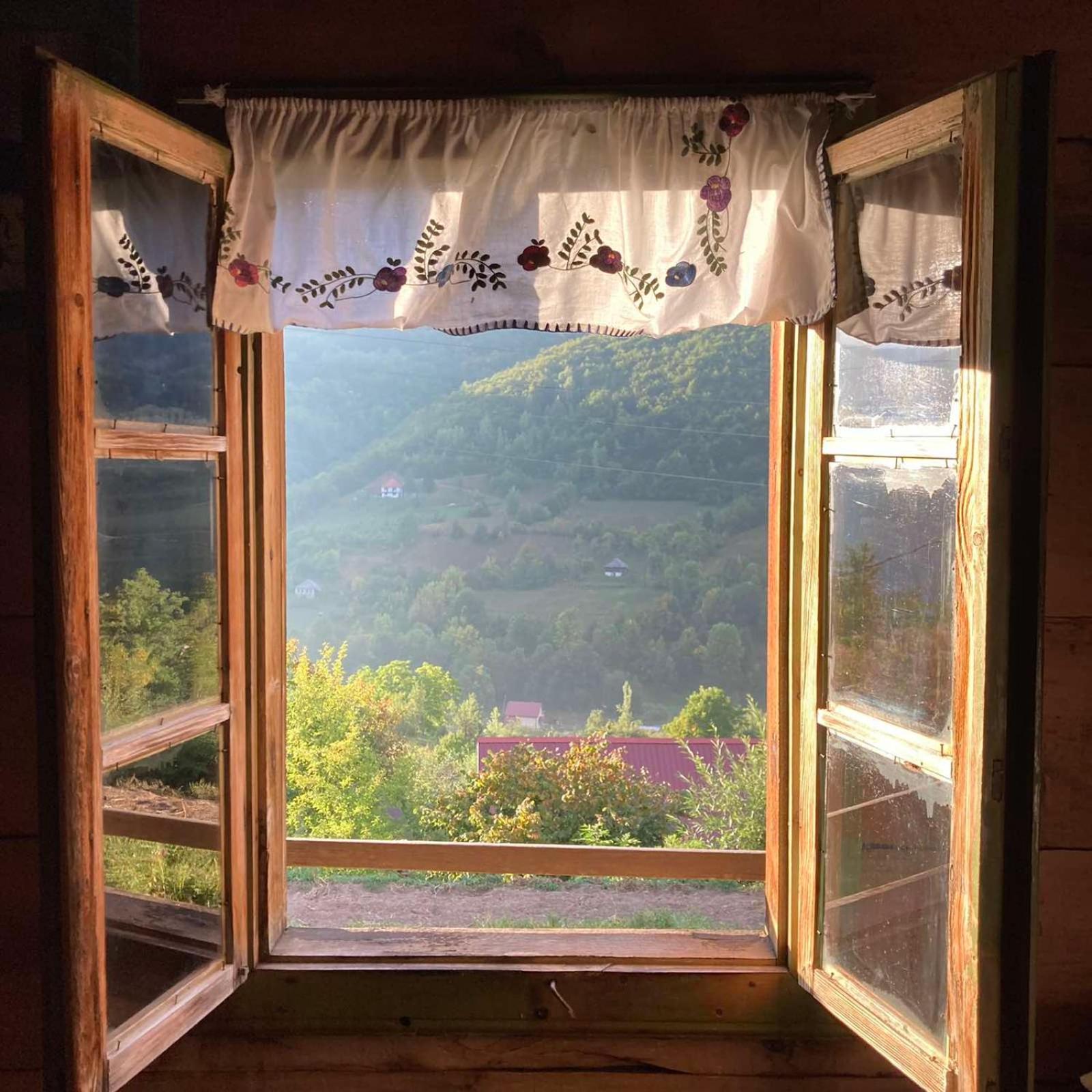Household Babovic - Old house Miljan's valley view 4