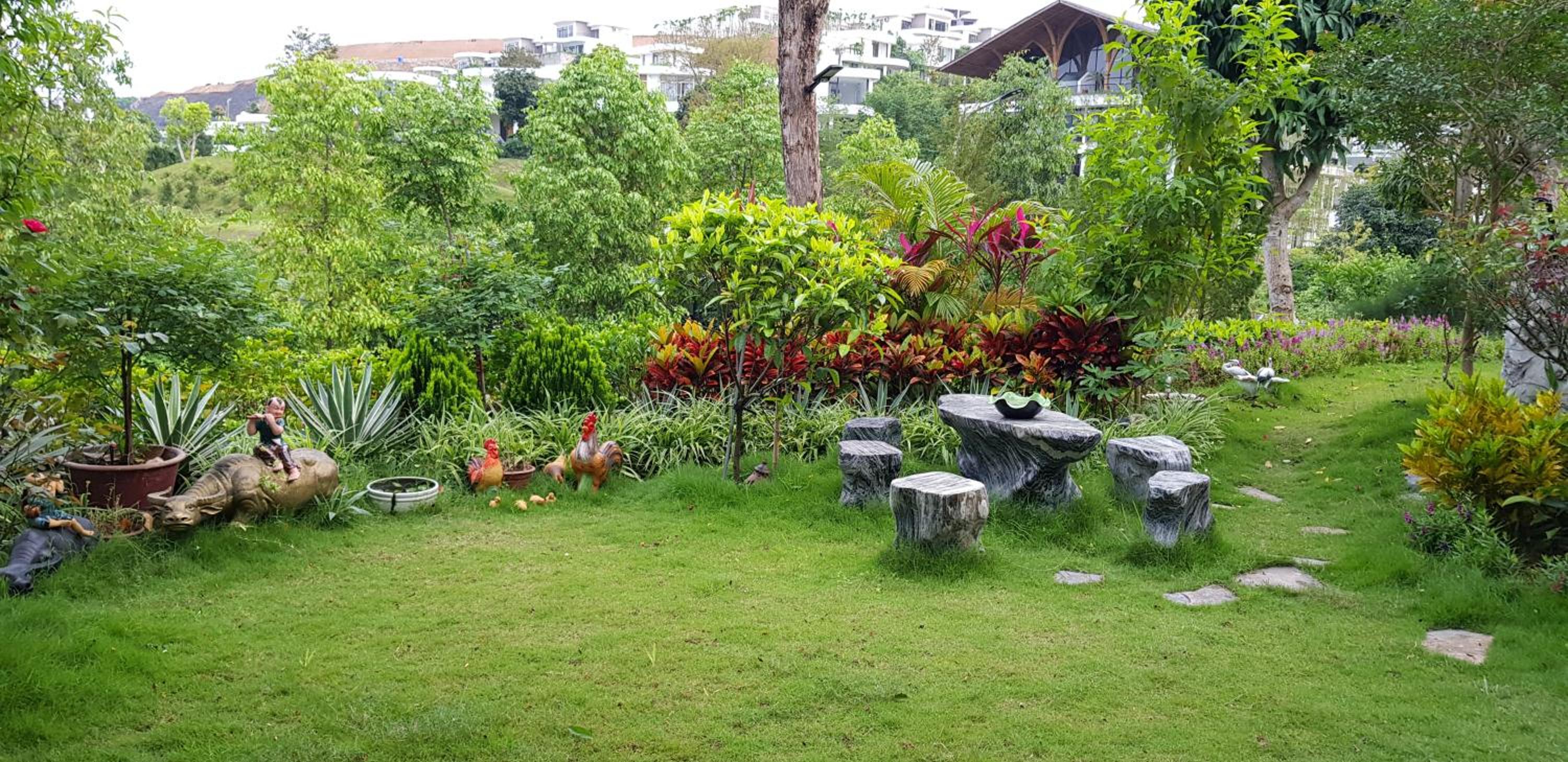 Photo 21