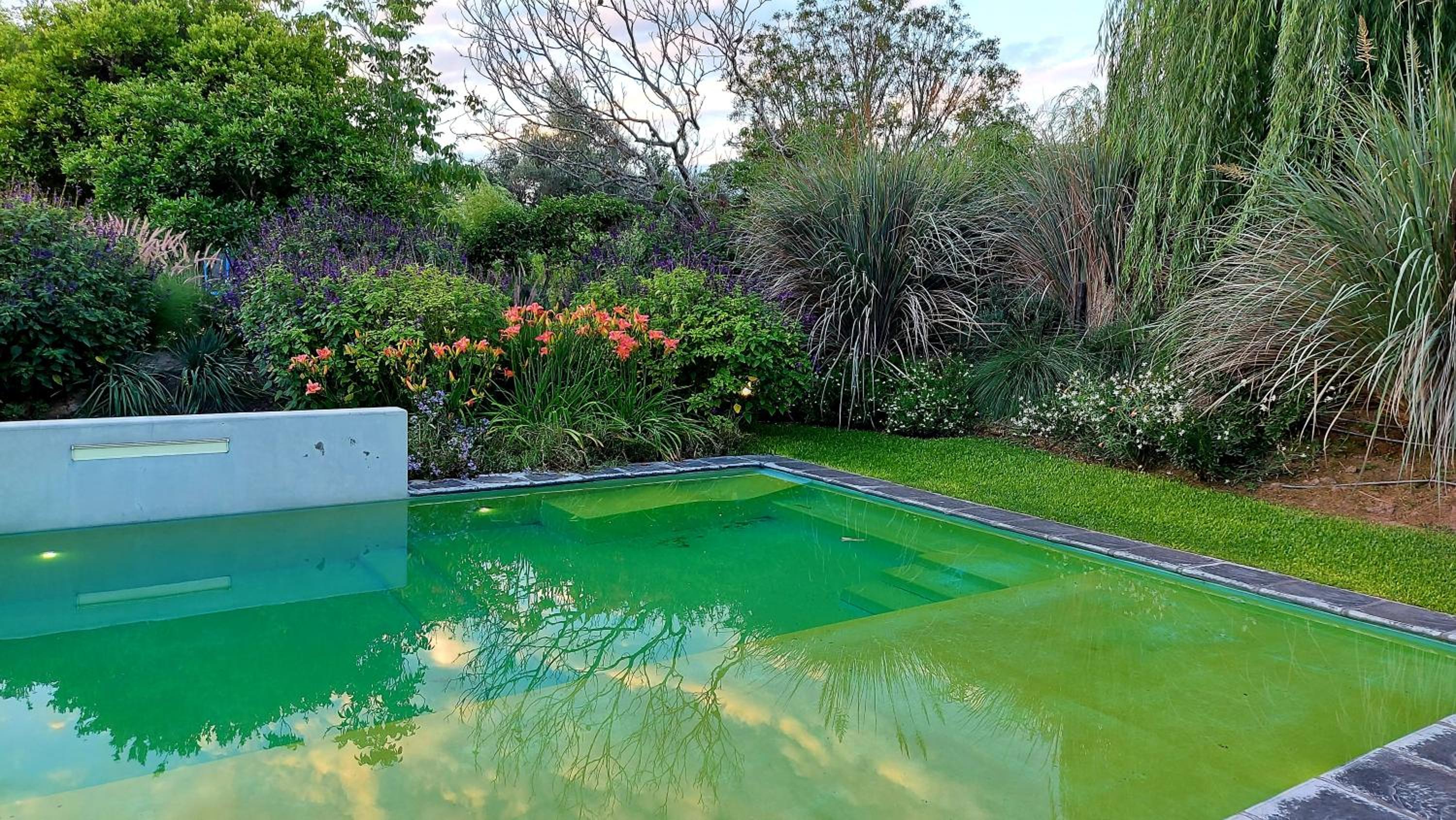 Posada del Santo Green & Rest - Cabañas