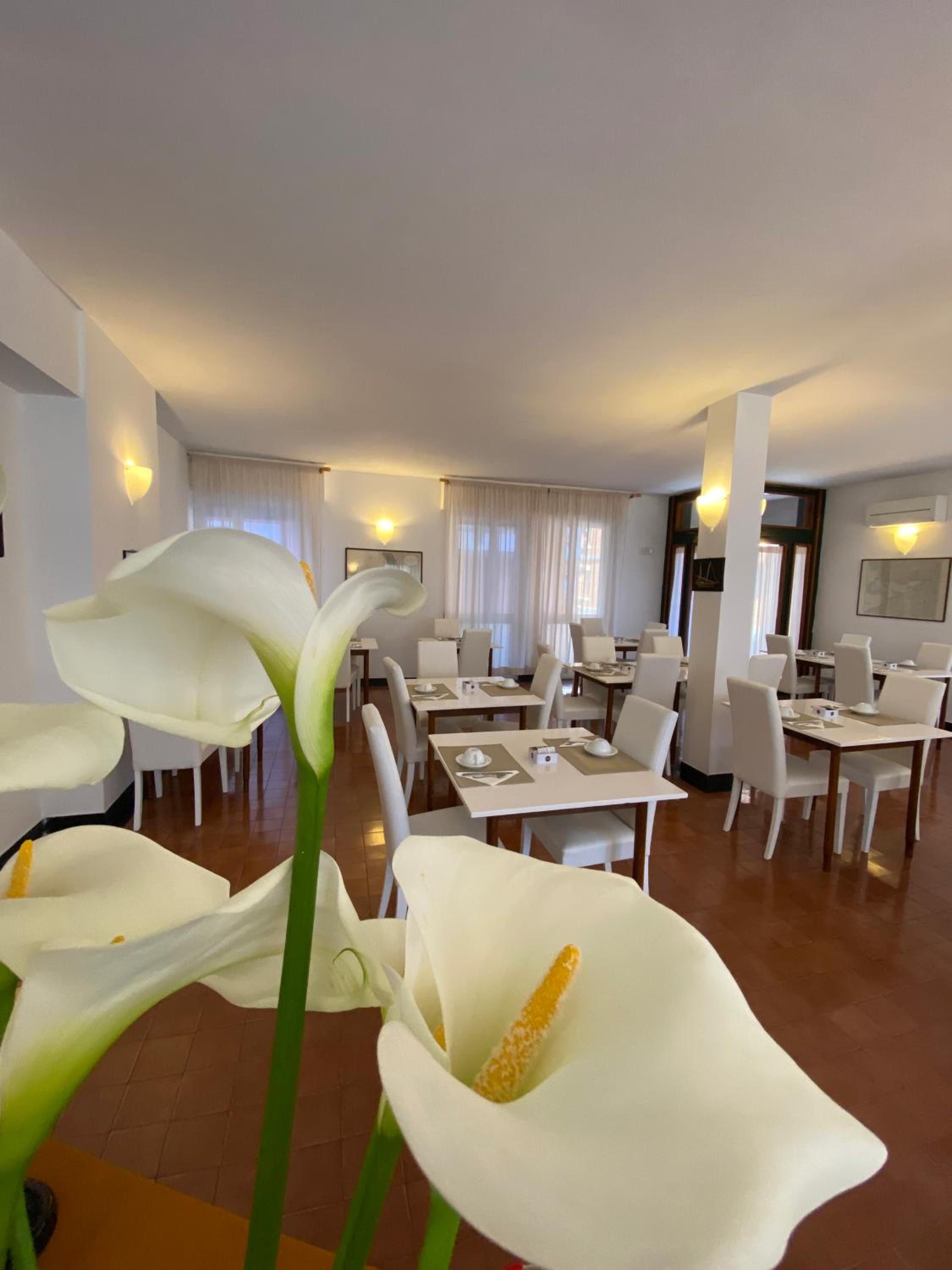 Hotel Miriam, photo 34