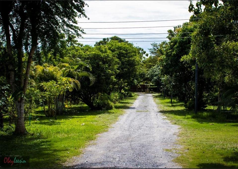 Thararin Villa, photo 25