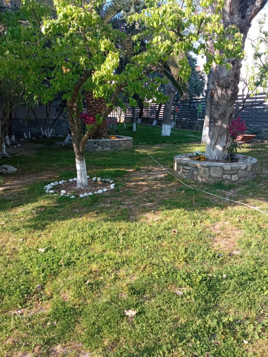 Sofia's Garden view 5