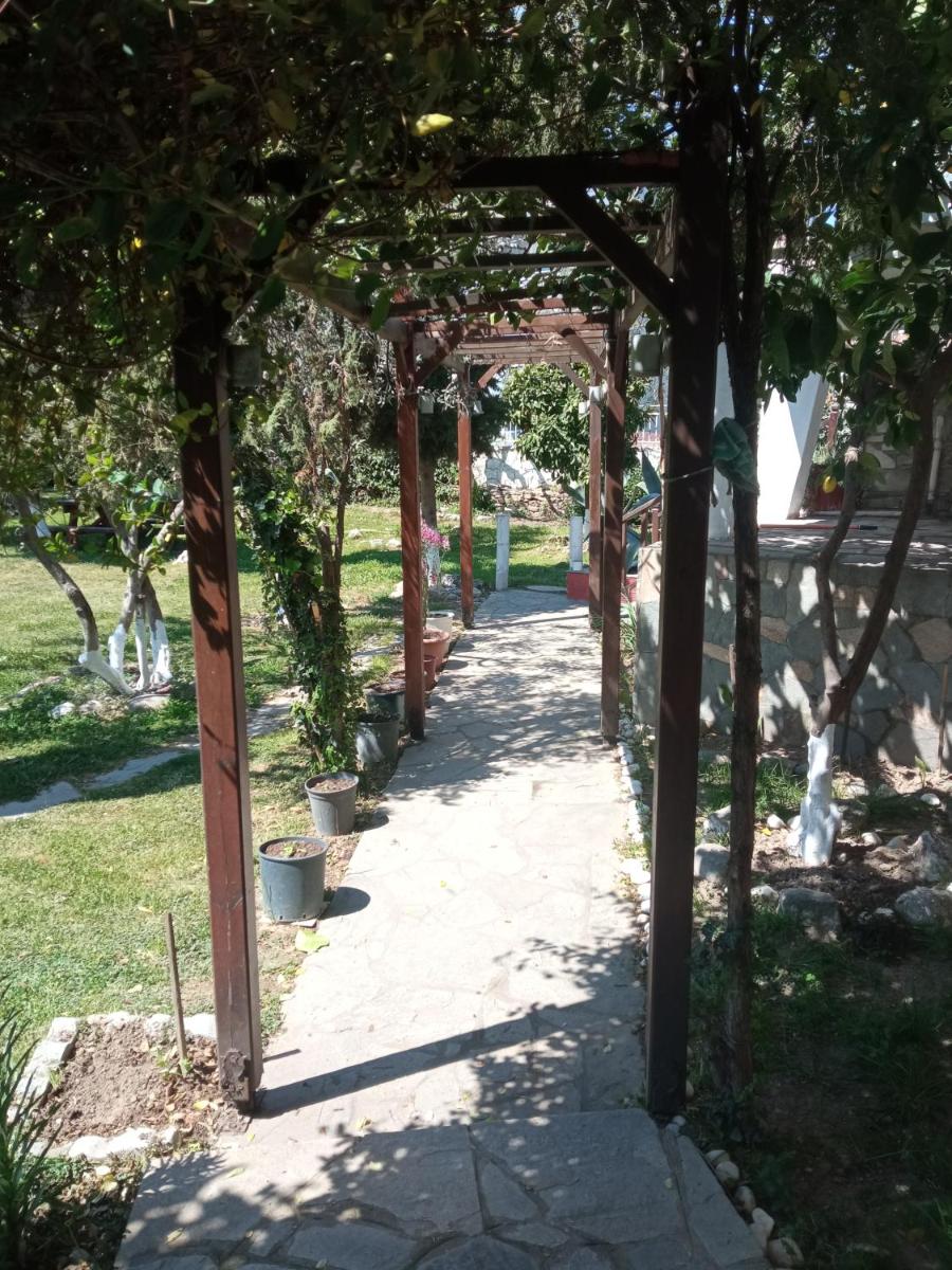 Photo 7