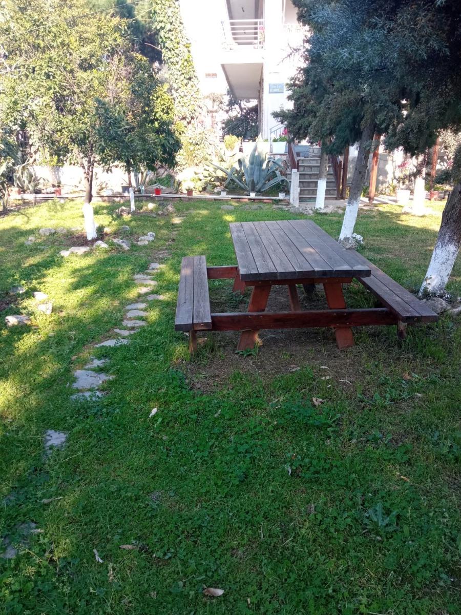 Photo 8